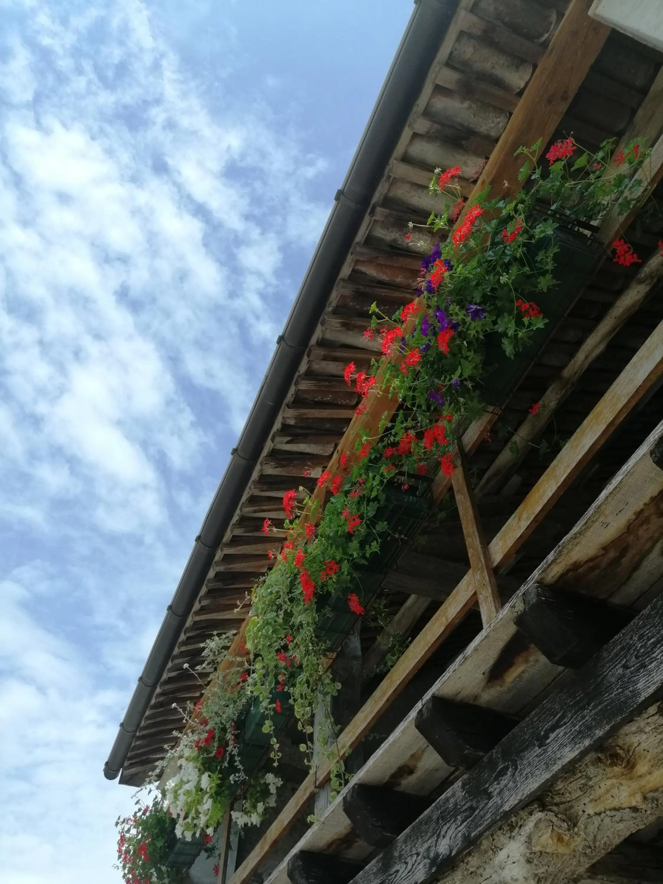 B&B La casa di Loretta