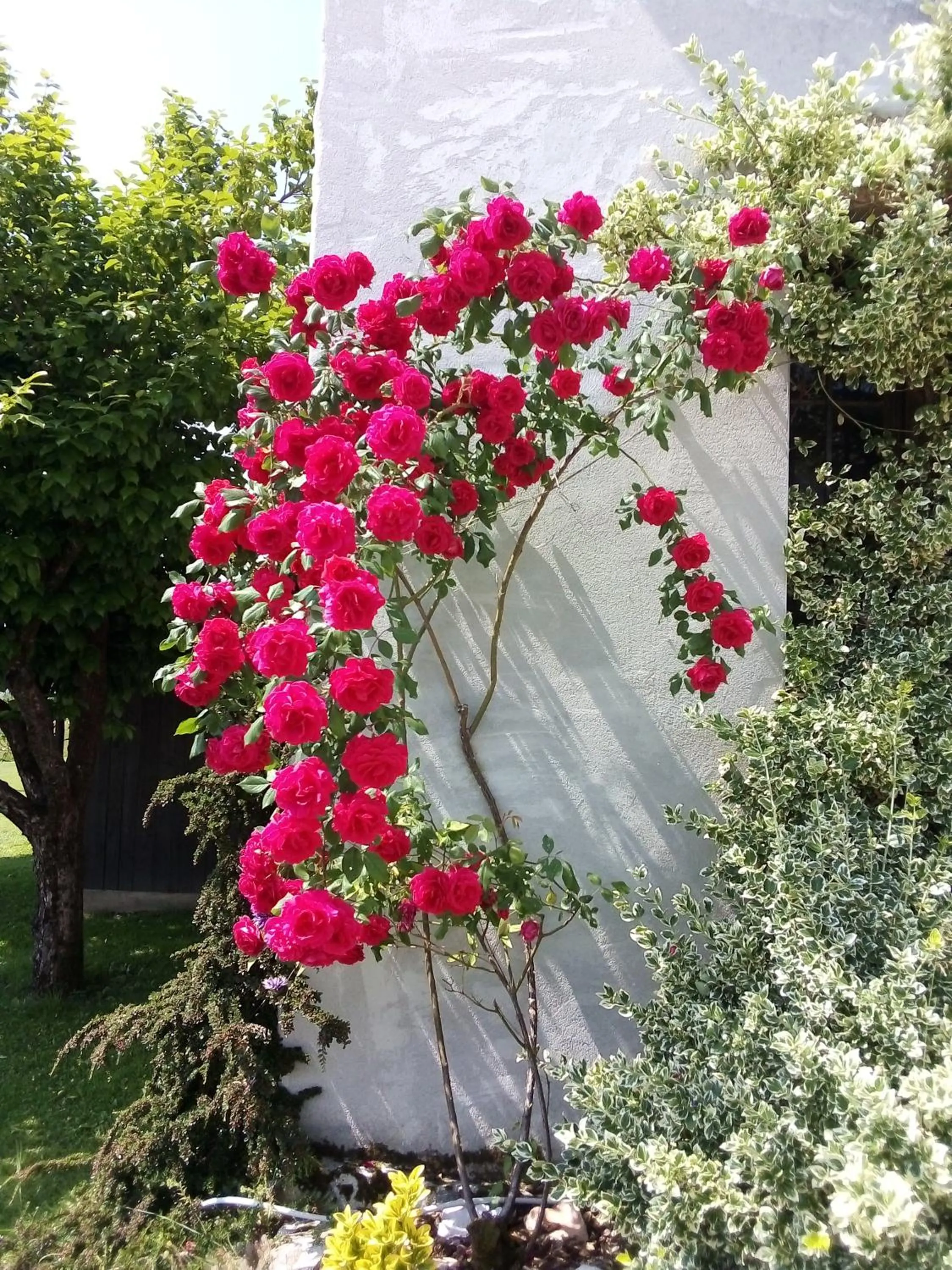 B&B La casa di Loretta