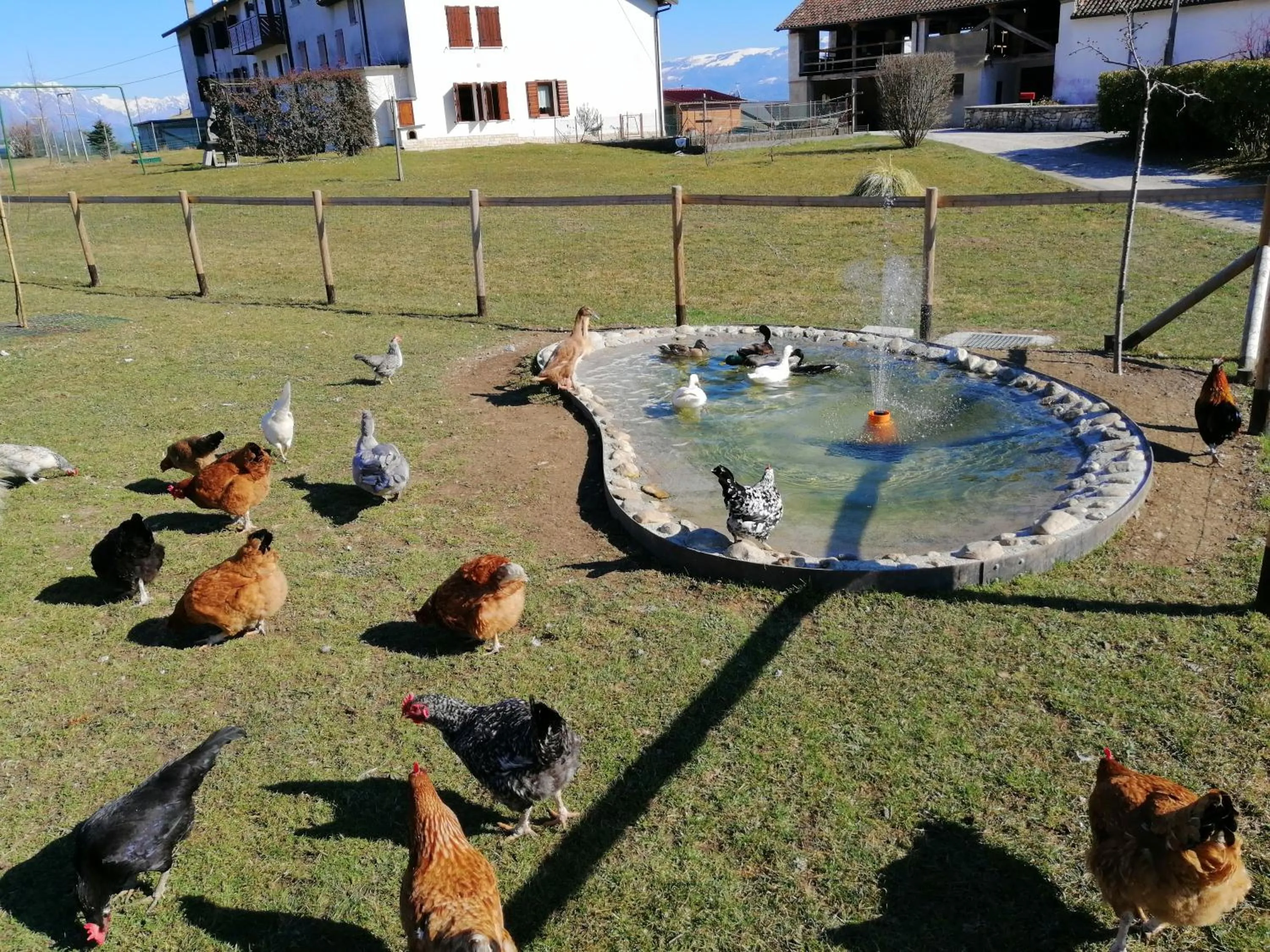 B&B La casa di Loretta