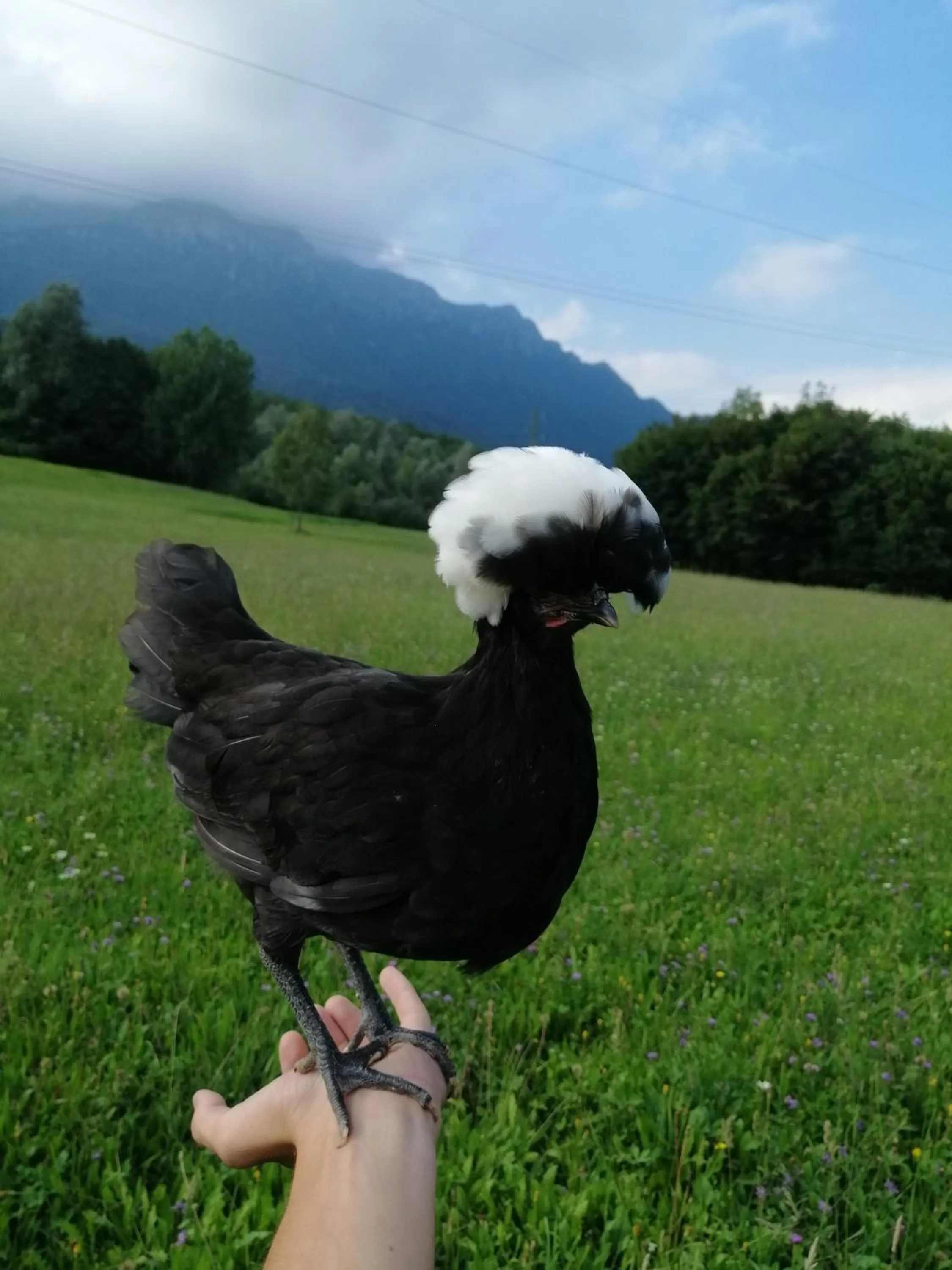 B&B La casa di Loretta