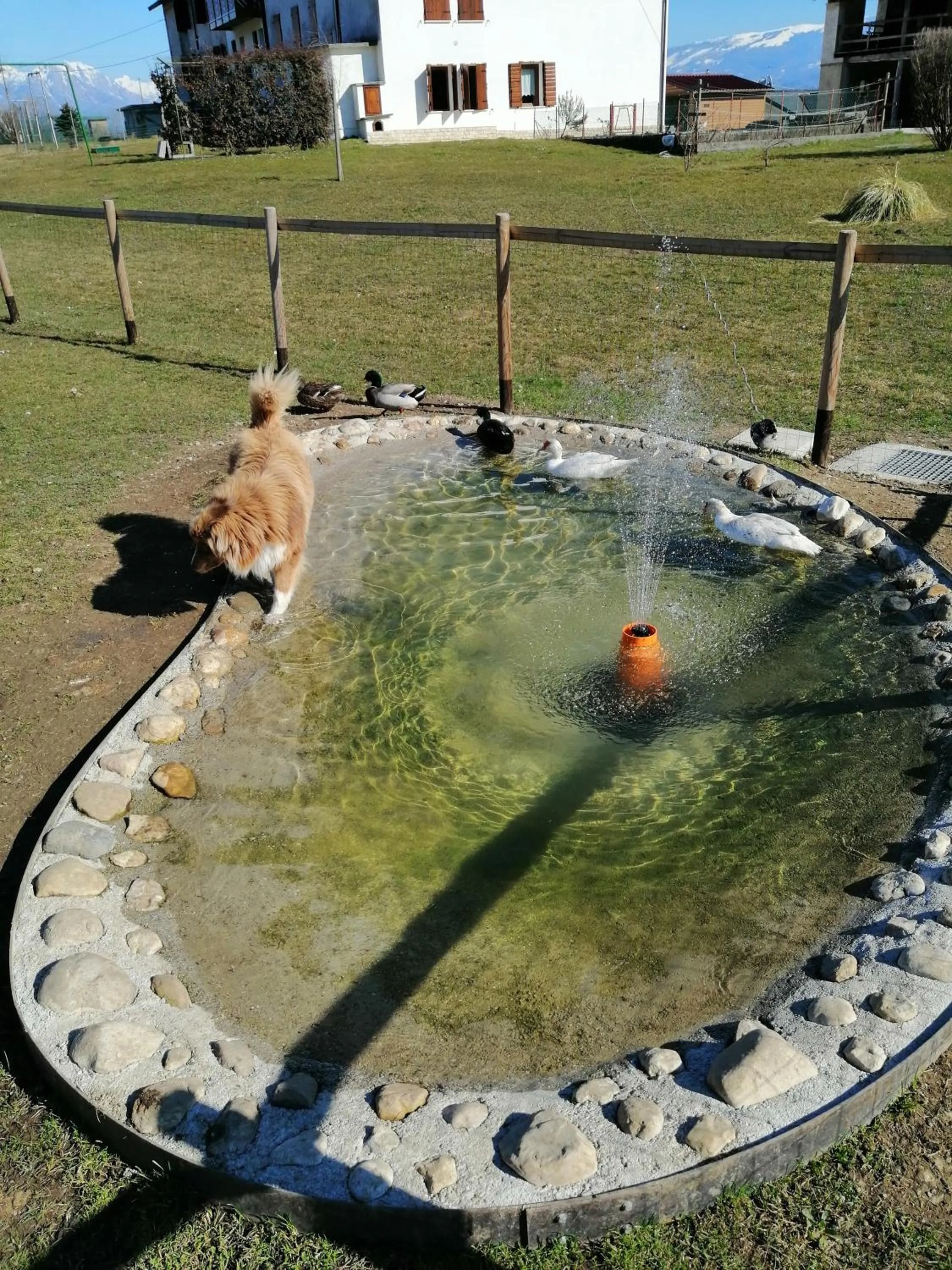 B&B La casa di Loretta