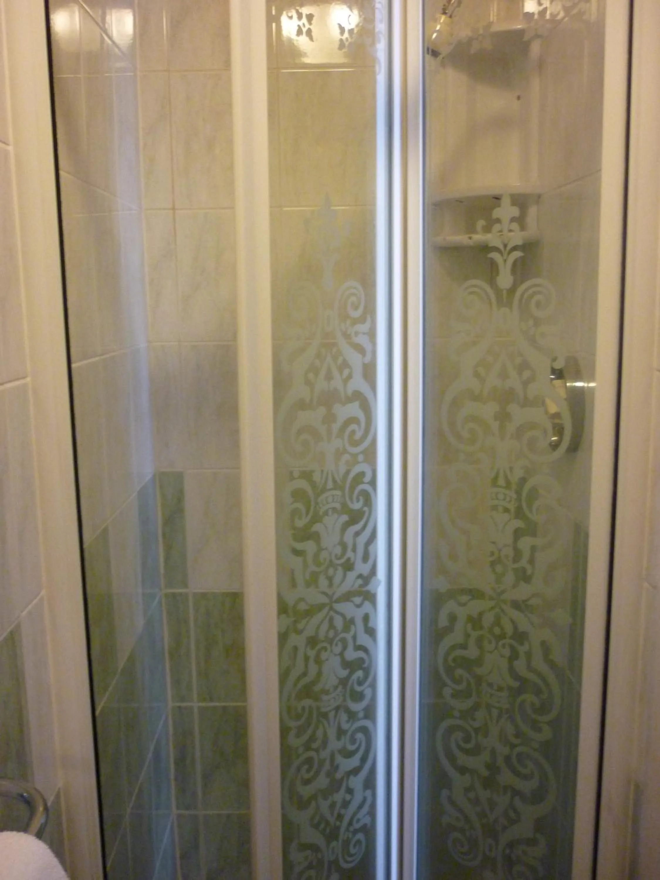 Shower in Ashwood Grange