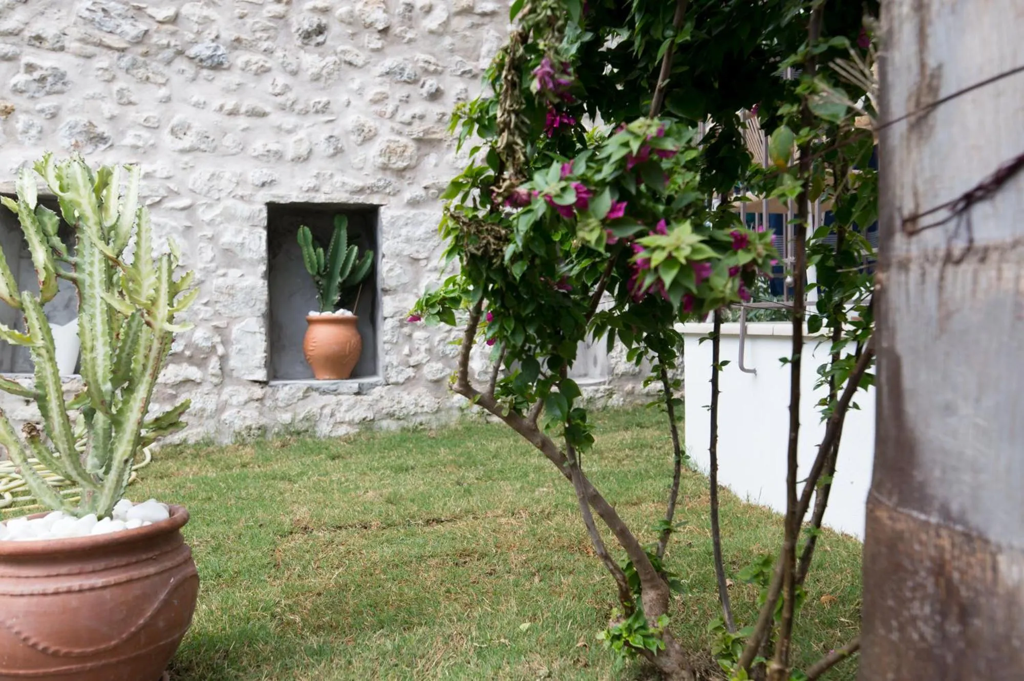 Garden in The Well Parga