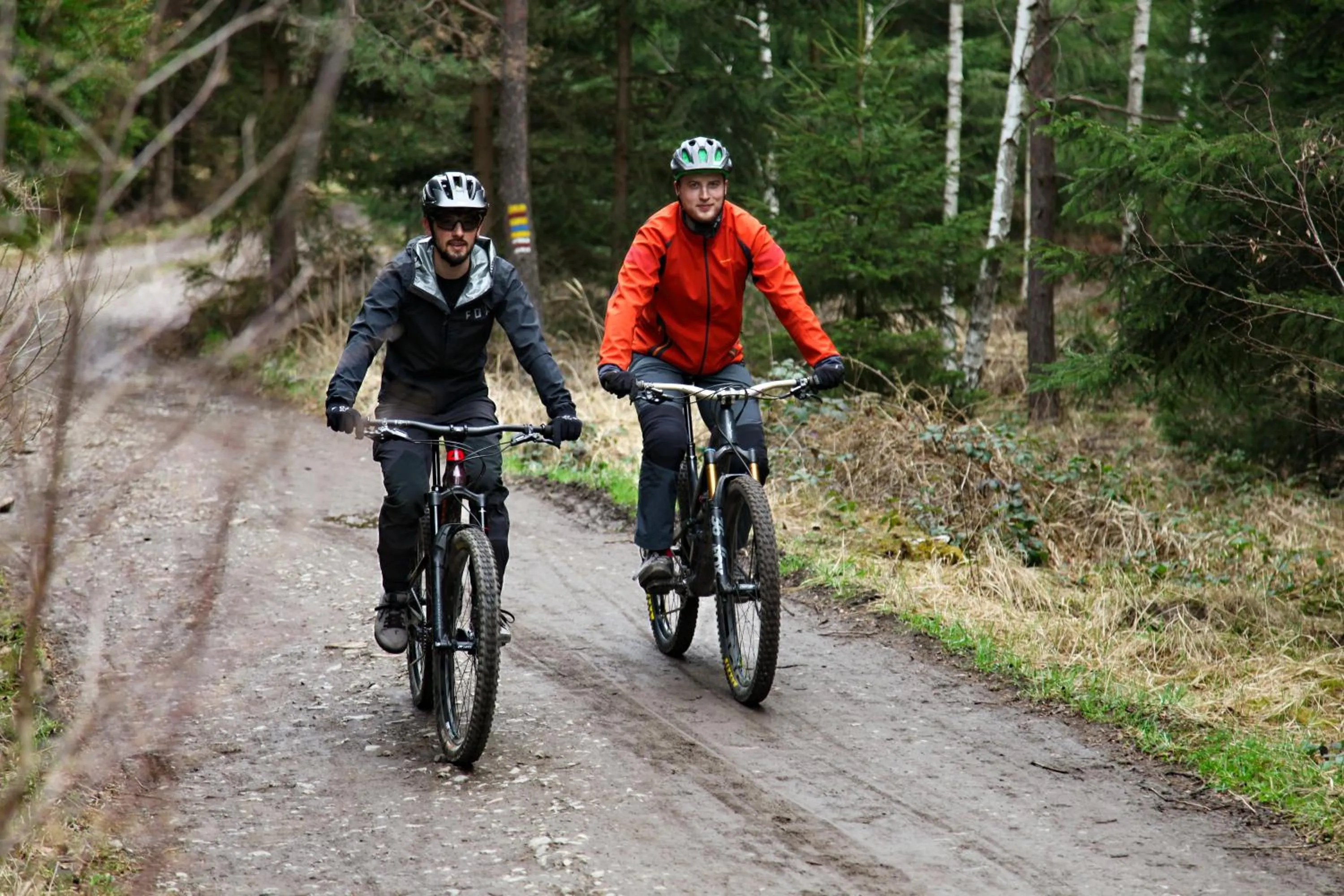 Activities in Boutique hotel Corso