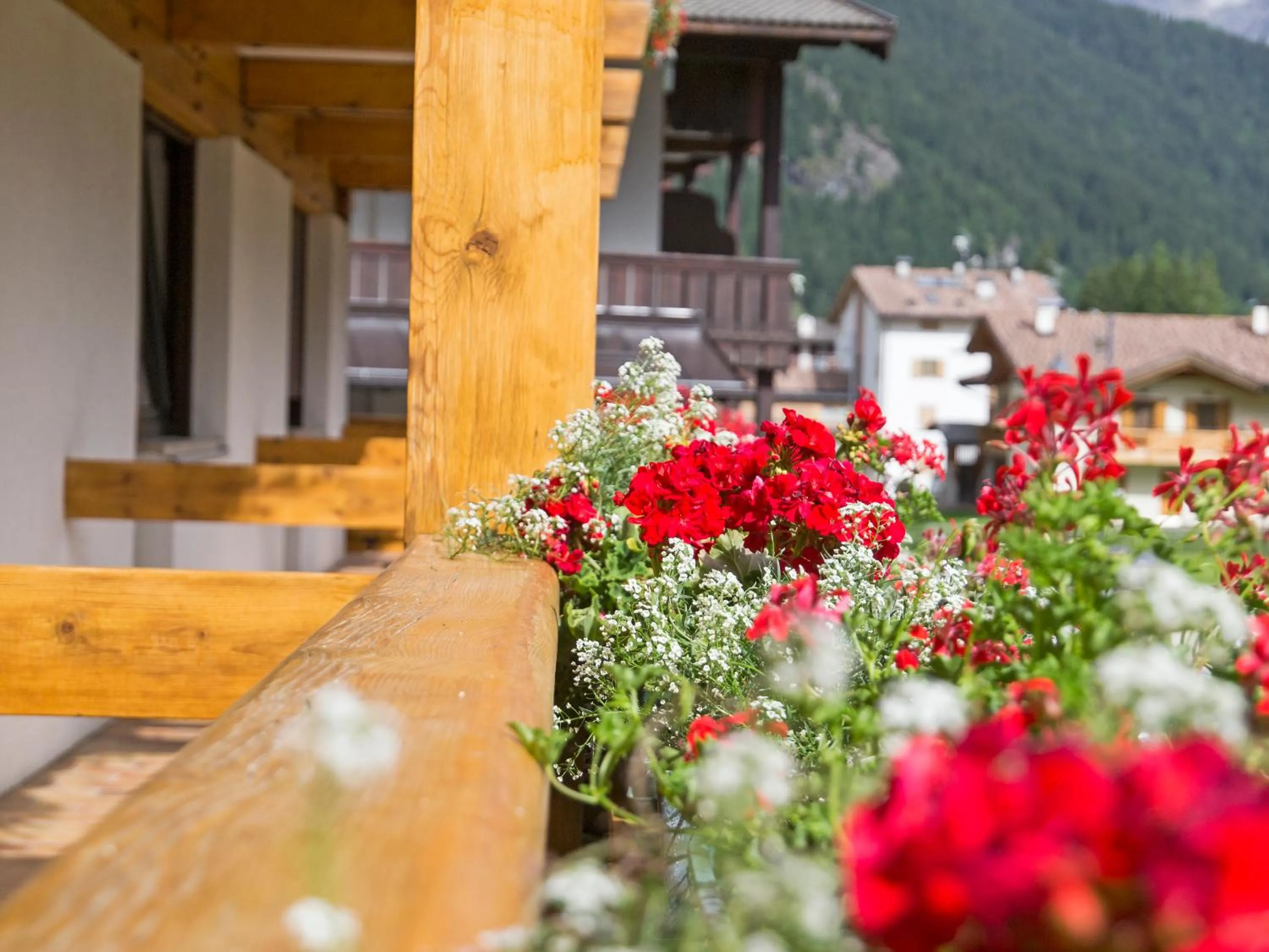 Balcony/Terrace in Hotel Engel