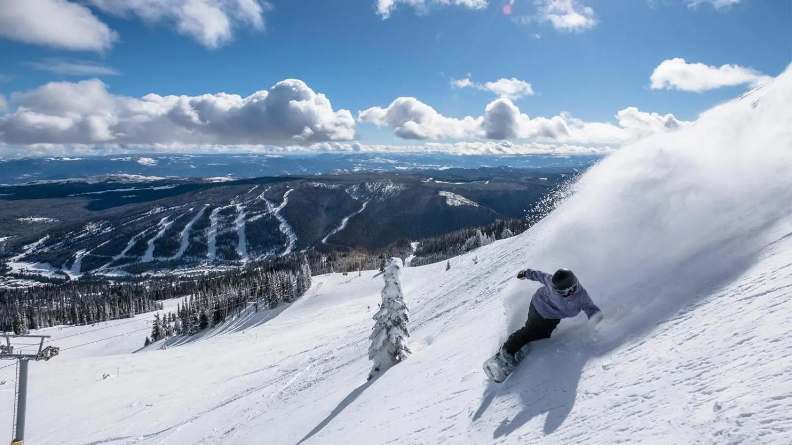 Crystal Forest #04 By Bear Country