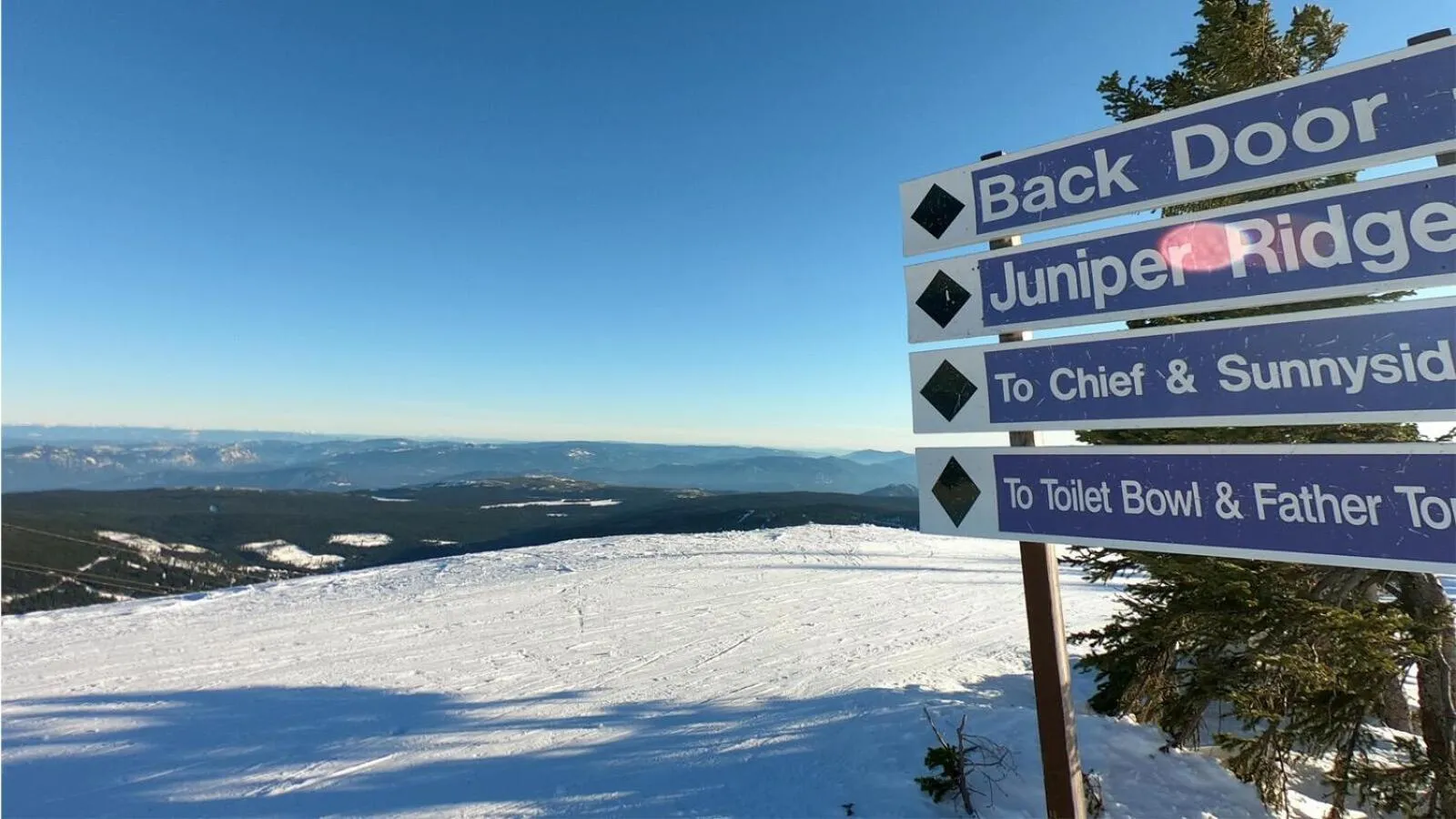 Crystal Forest #04 By Bear Country