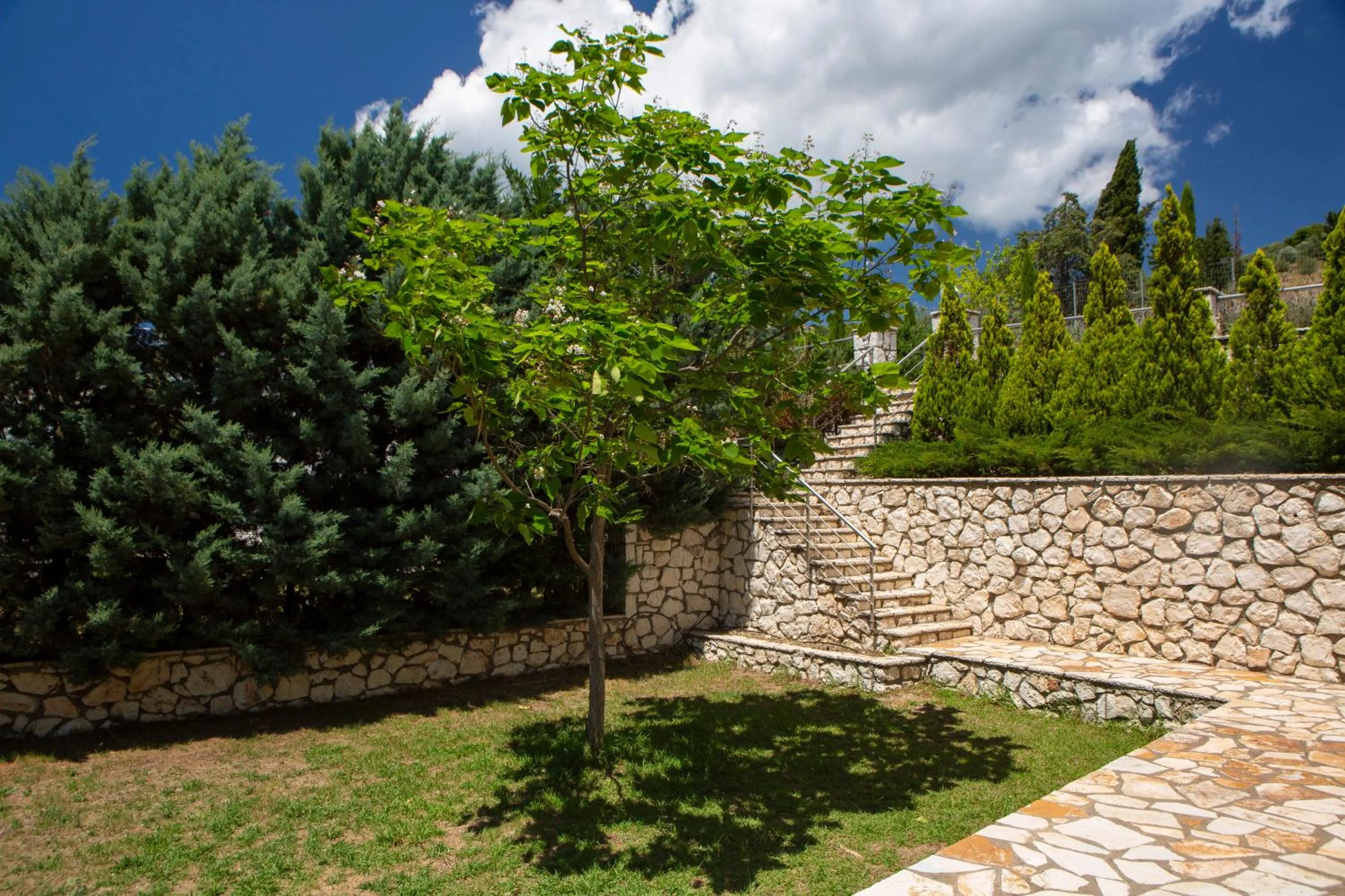 Garden in Dream View Villas