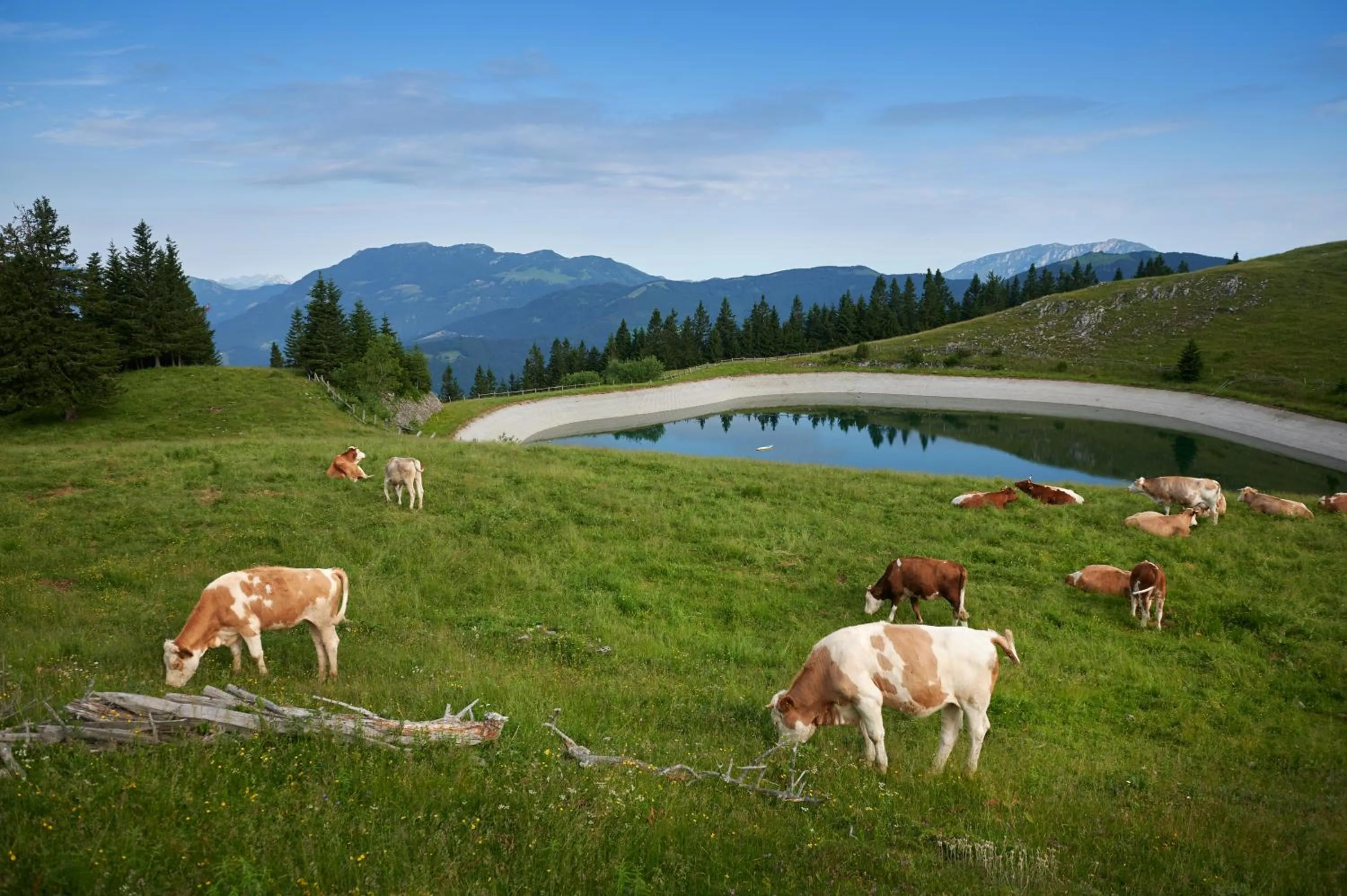 Hiking in Hotel Planinka