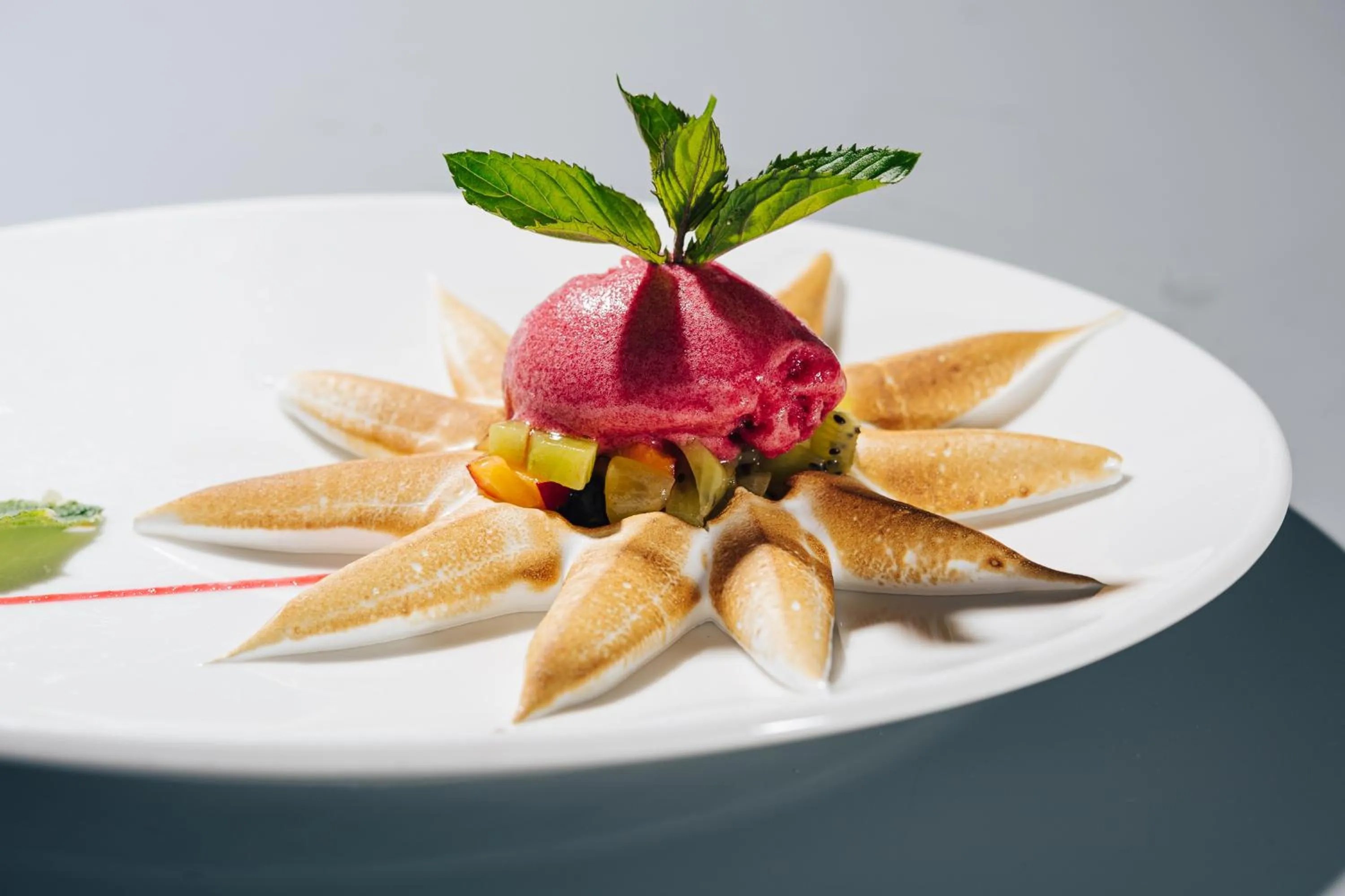 Food and drinks in Hotel Planinka