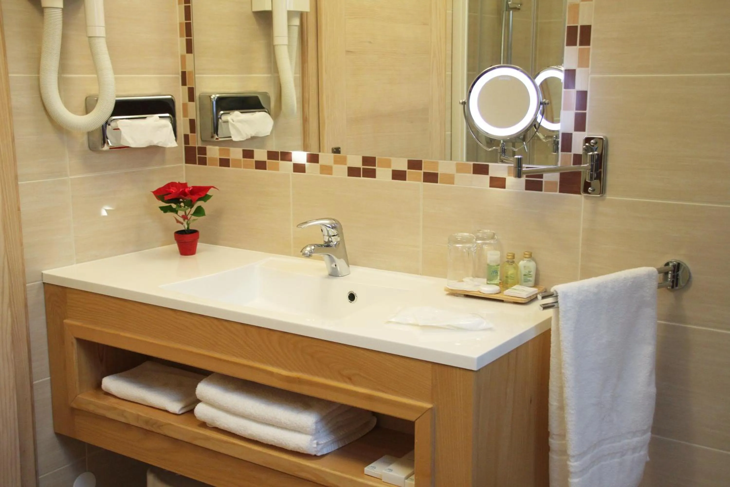 Bathroom in Hotel Planinka