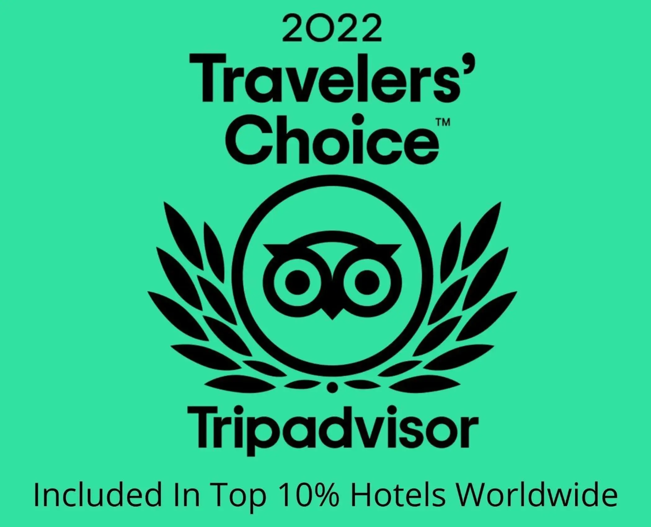 Other in The Place To Stay Other in The Place To Stay