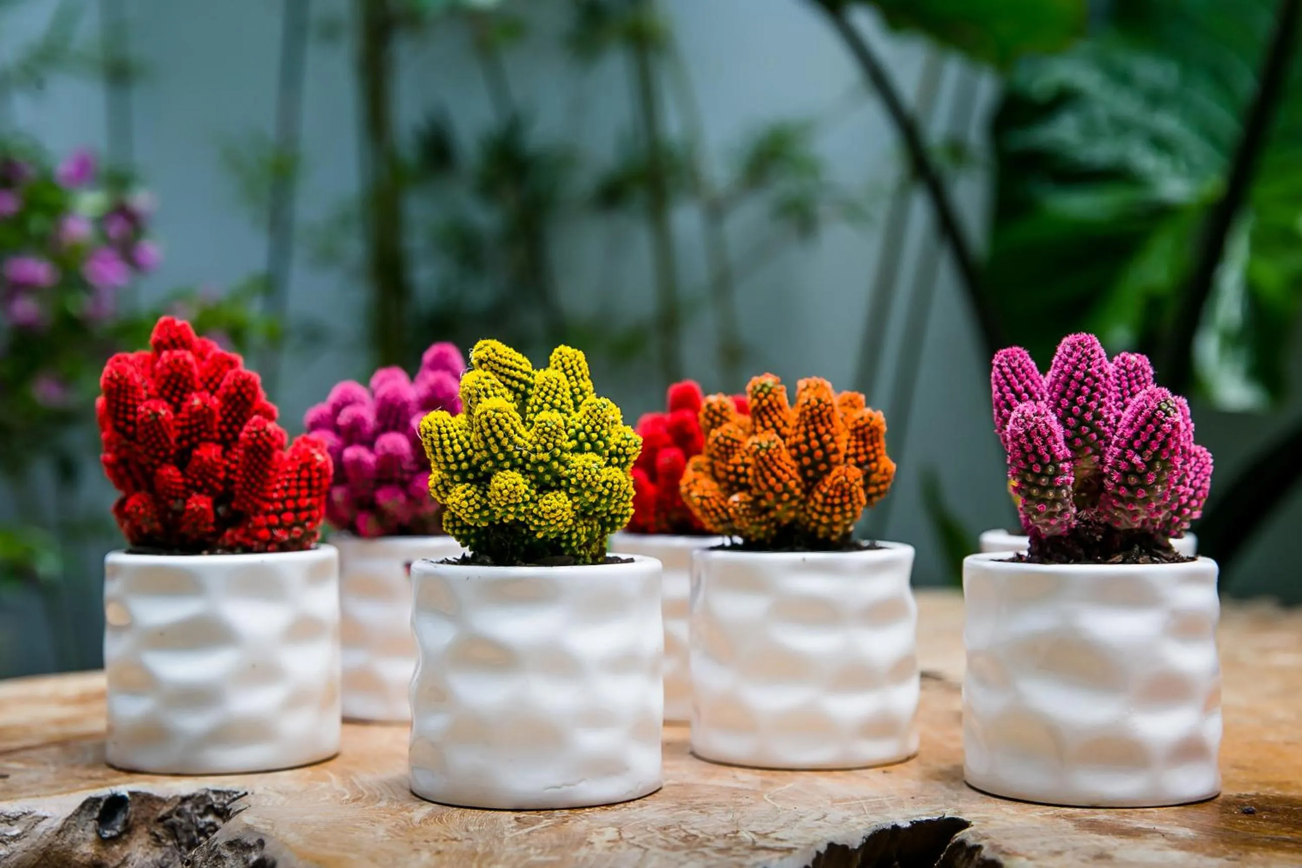 Numero Uno Beach House