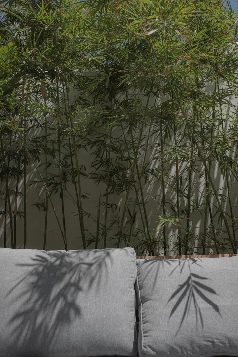 Garden in Numero Uno Beach House