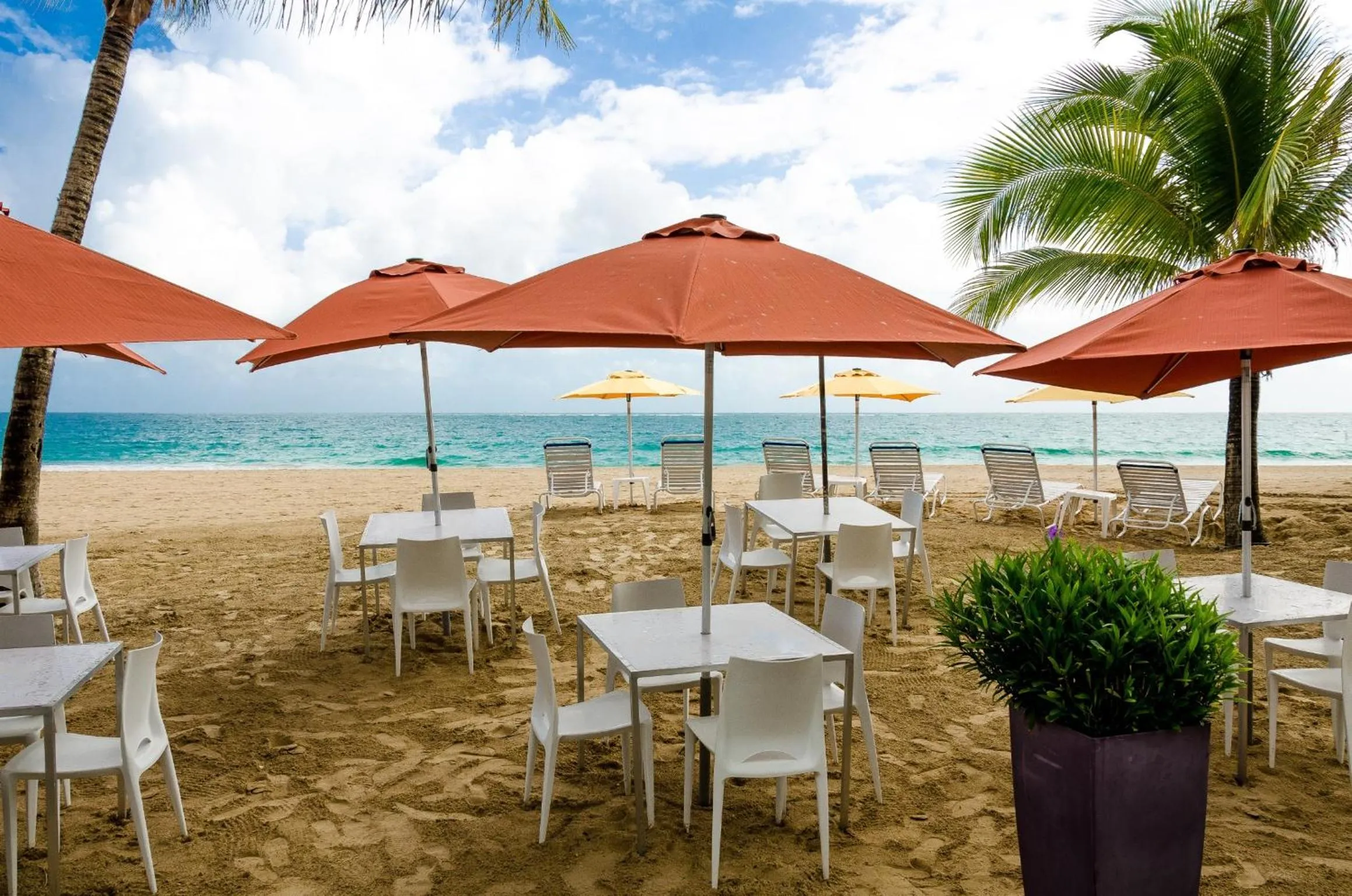 Restaurant/places to eat in Numero Uno Beach House