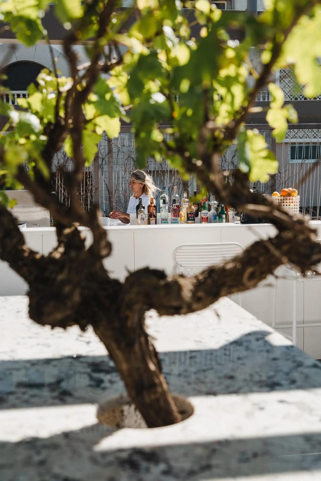 Restaurant/places to eat in Hôtel de La Plage