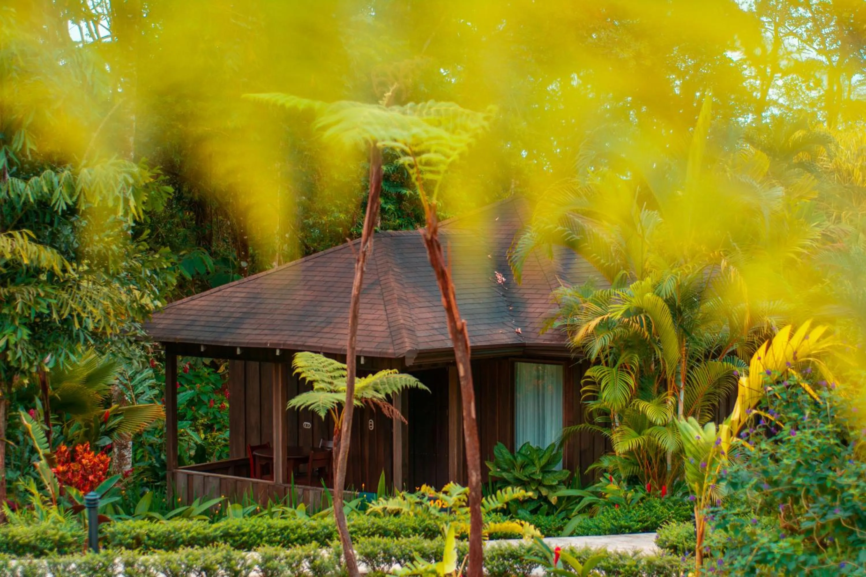 Facade/entrance in Hotel Lomas del Volcan