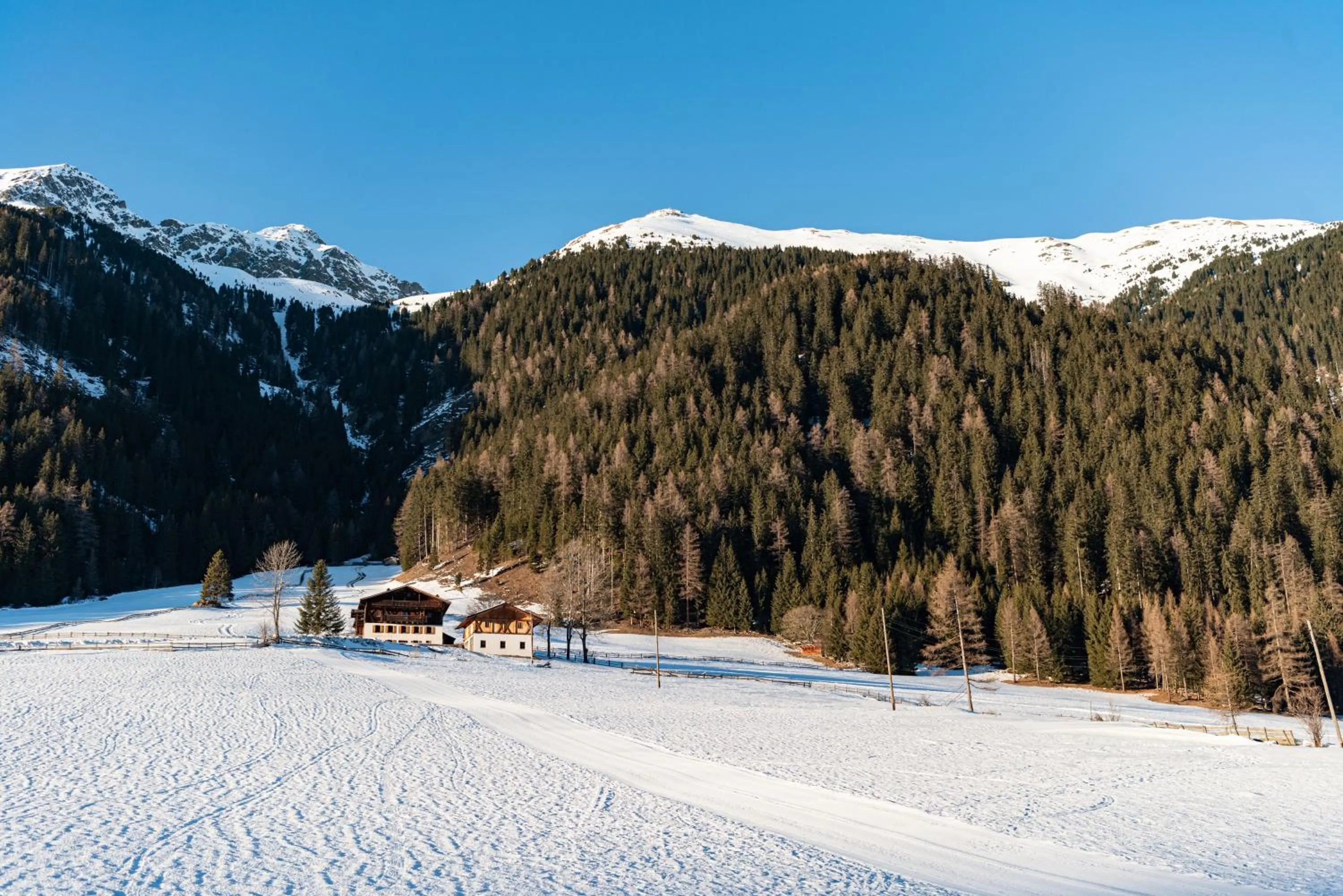 Natural landscape in Penserhof - Alpine Hotel & Restaurant