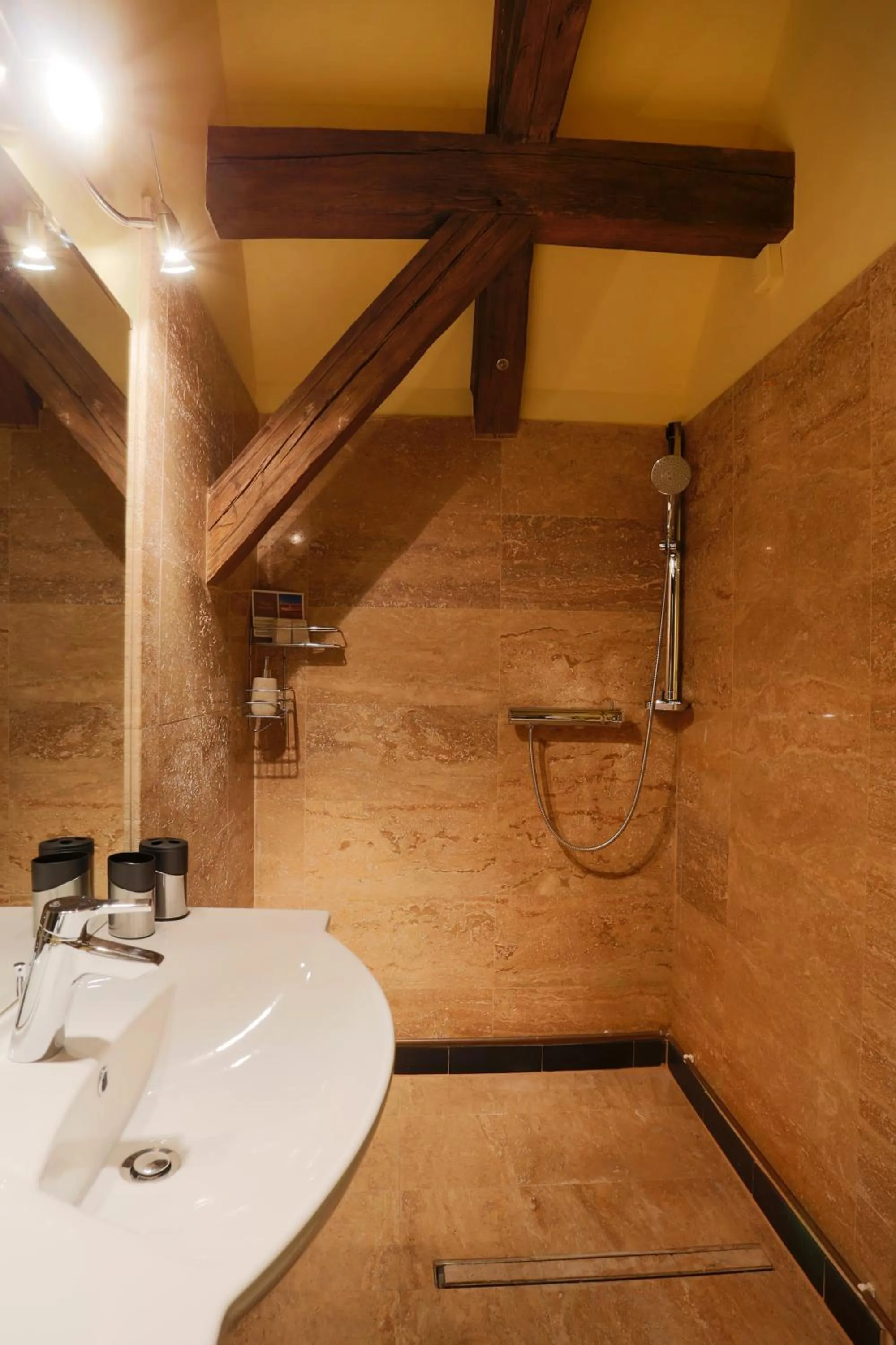 Shower in Casa Georgius Krauss Sighisoara