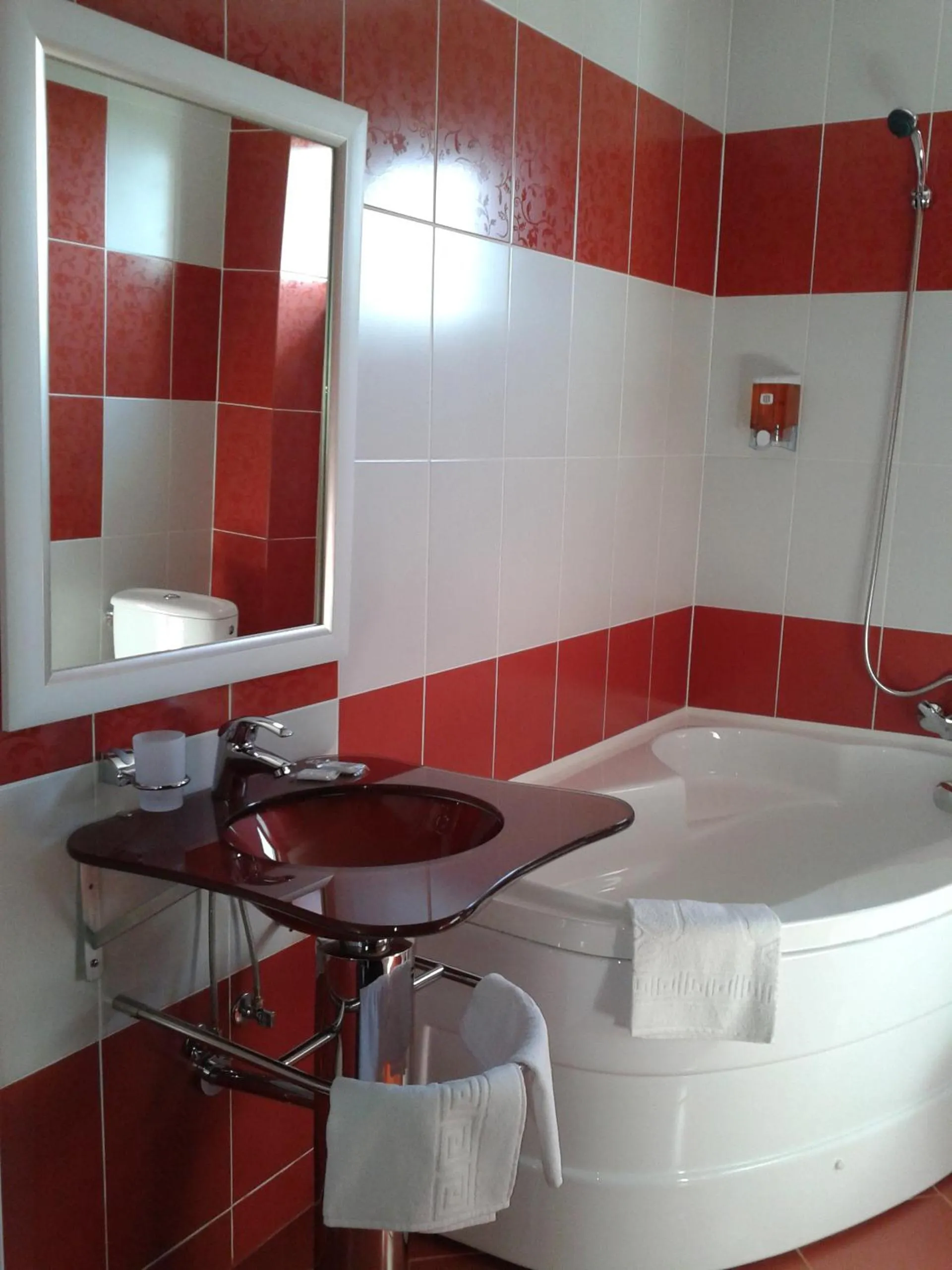 Bathroom in Pensiunea Velvet