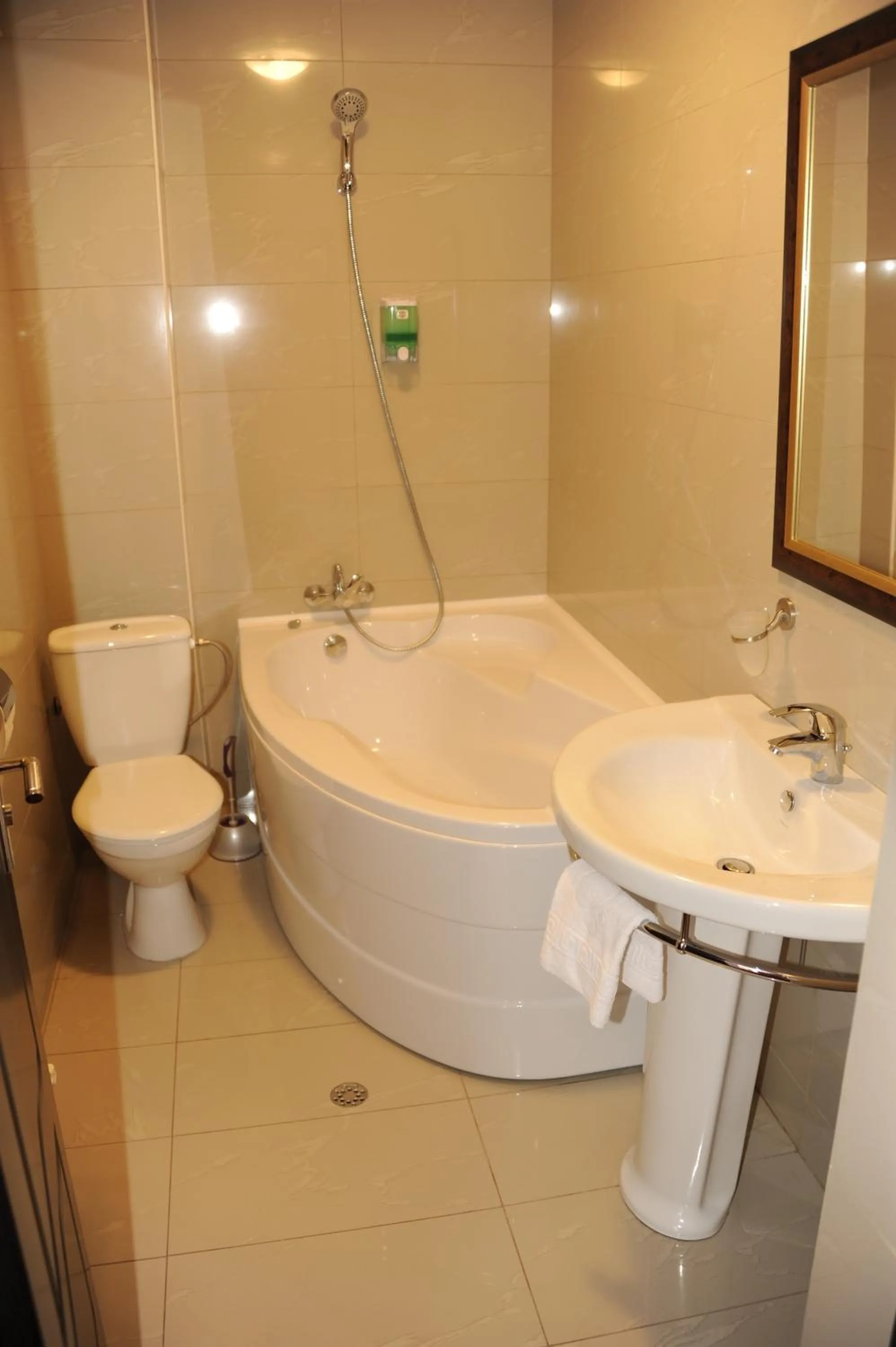 Bathroom in Pensiunea Velvet