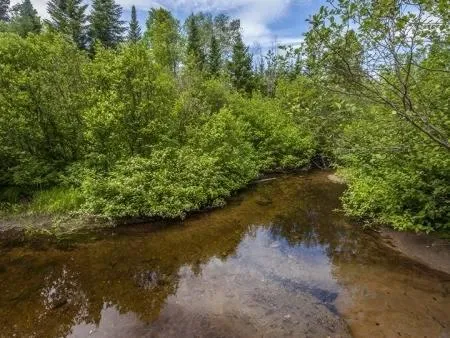 Property building in Le Chalet Le Bois Rond Des Ruisseaux