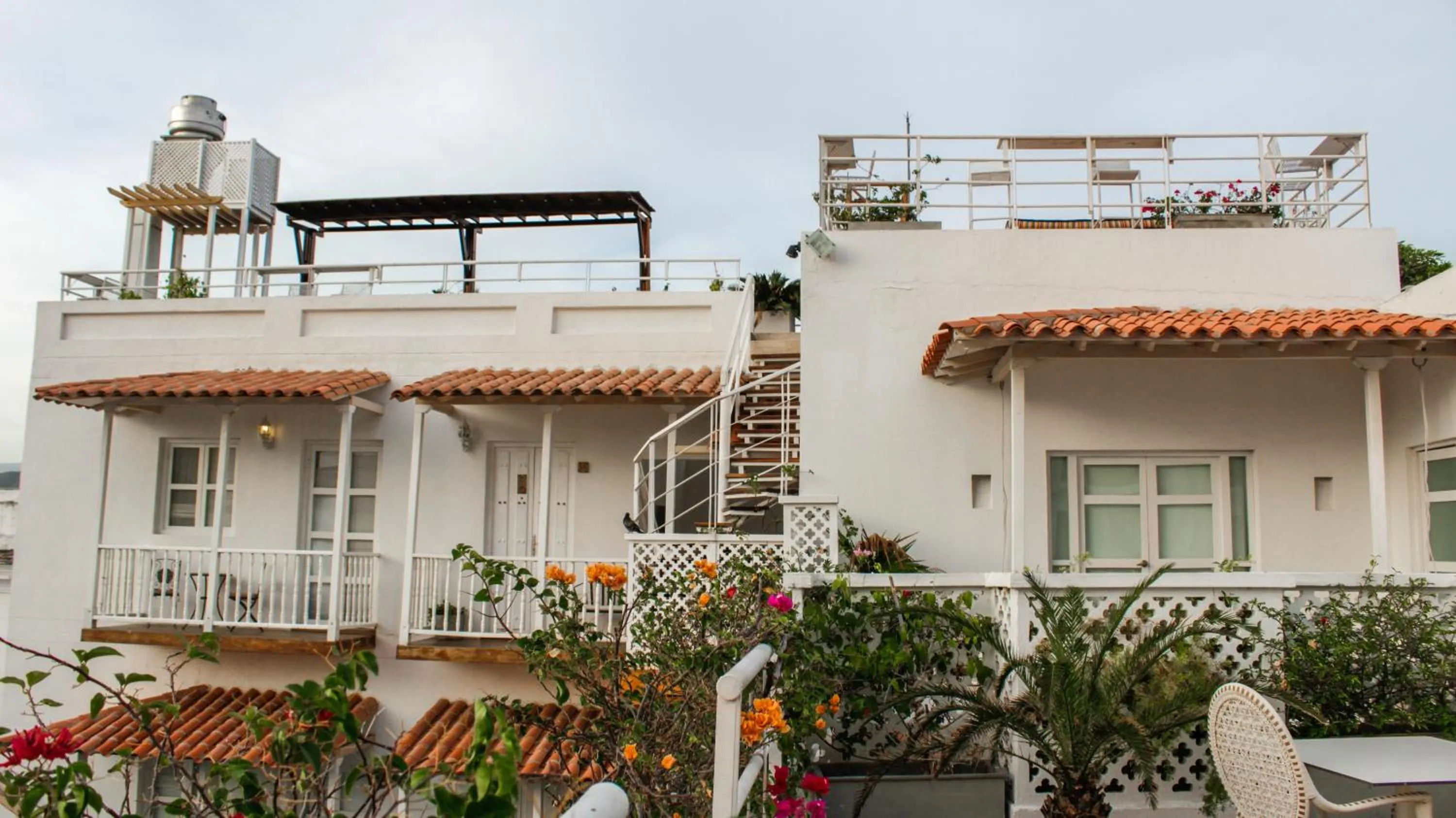 Garden in Hotel Boutique Don Pepe