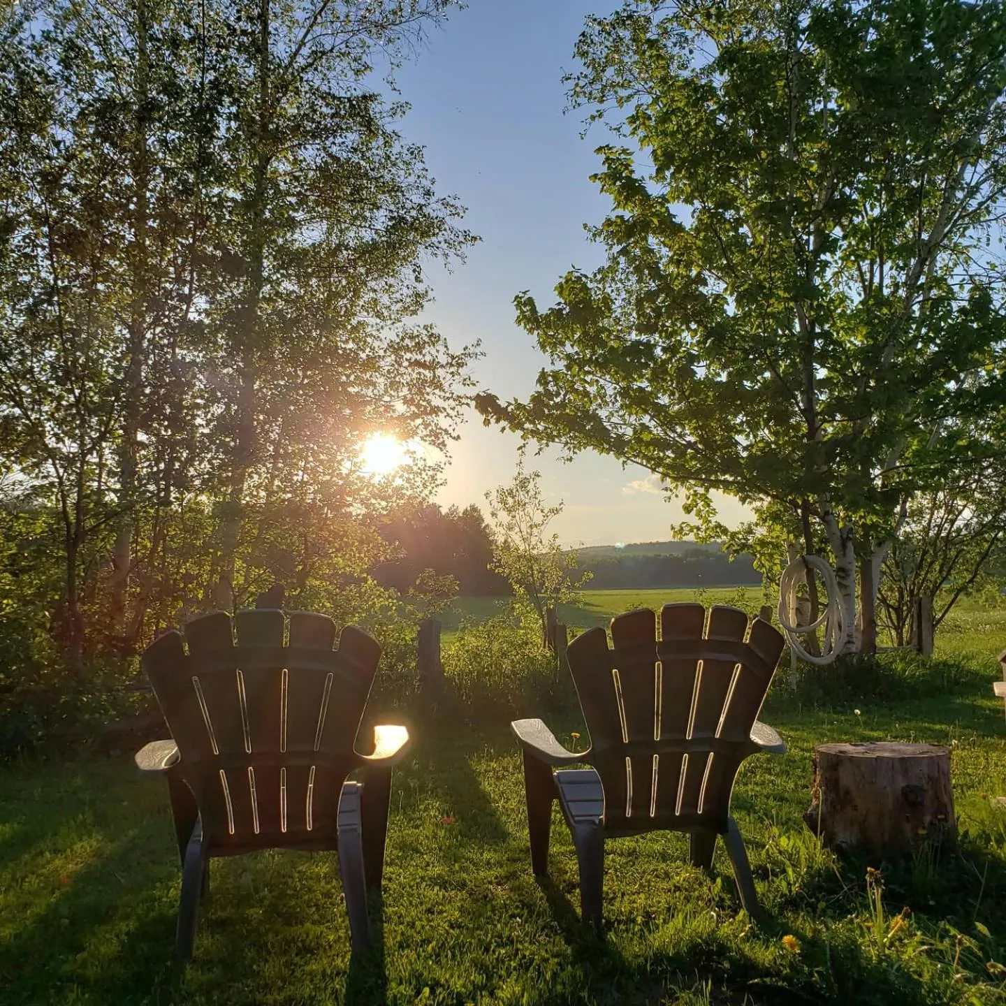 Gîte Le Grandelinois