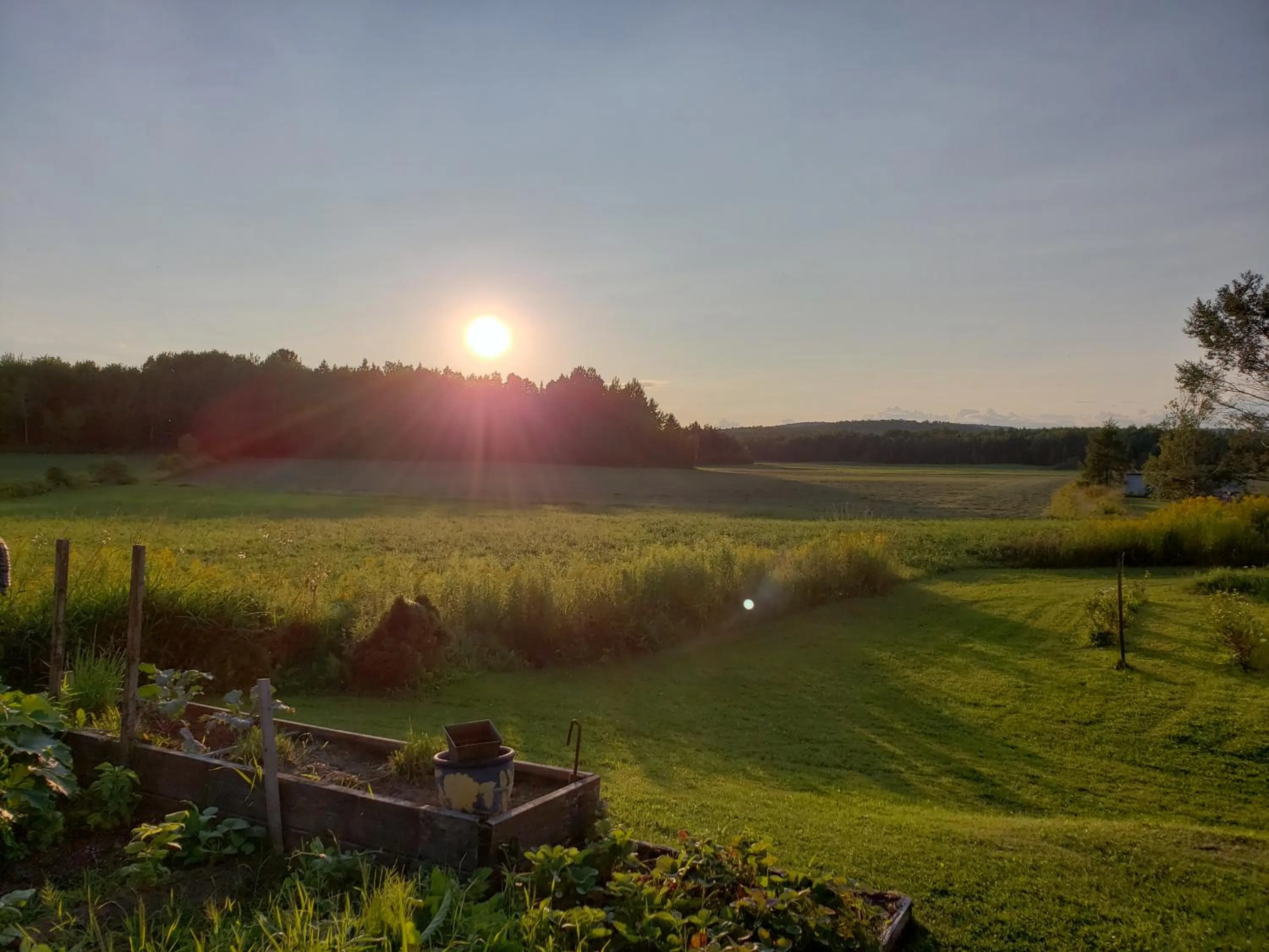 Garden view in Gîte Le Grandelinois