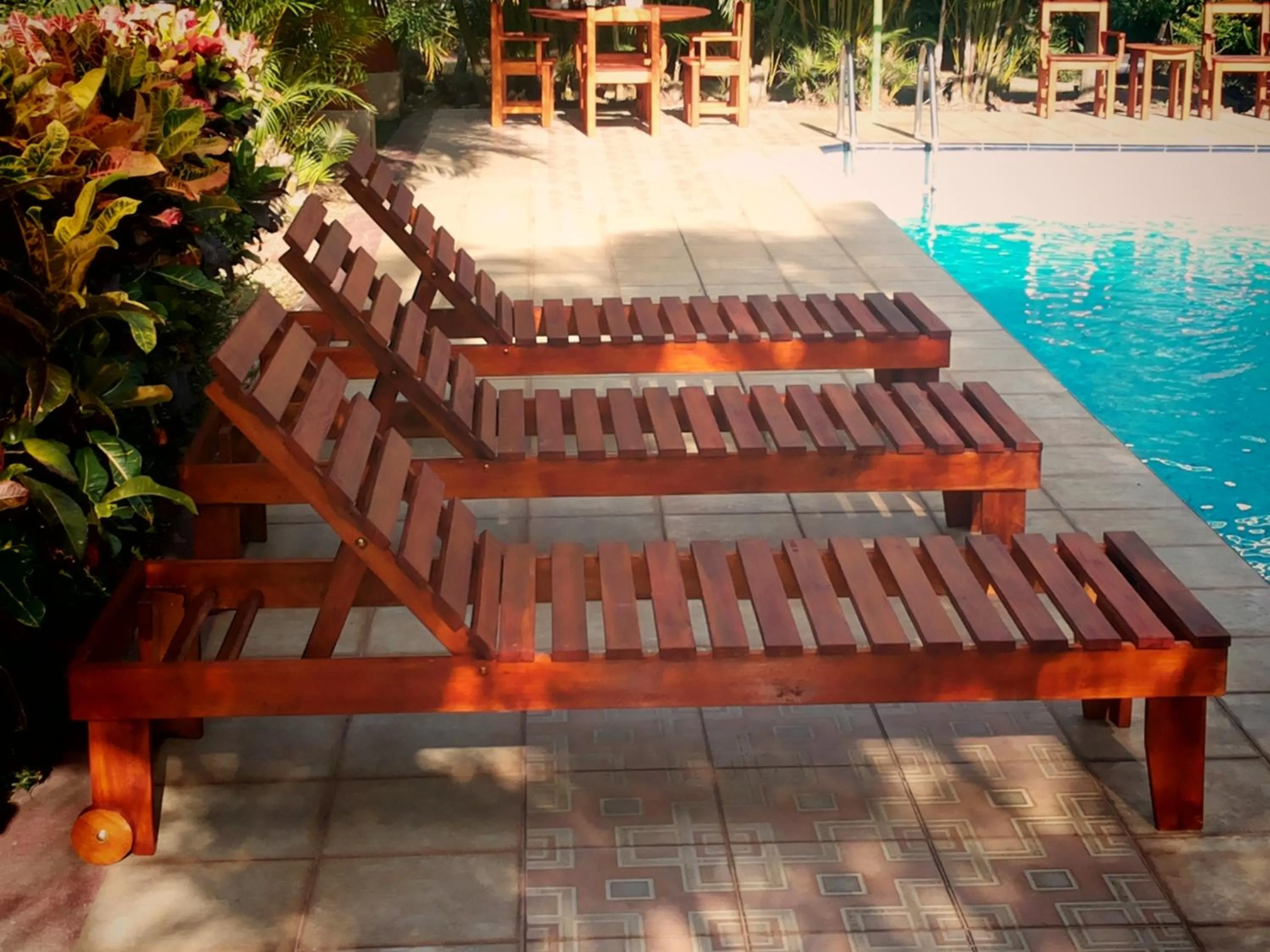 Swimming pool in Hotel La Rosa de America