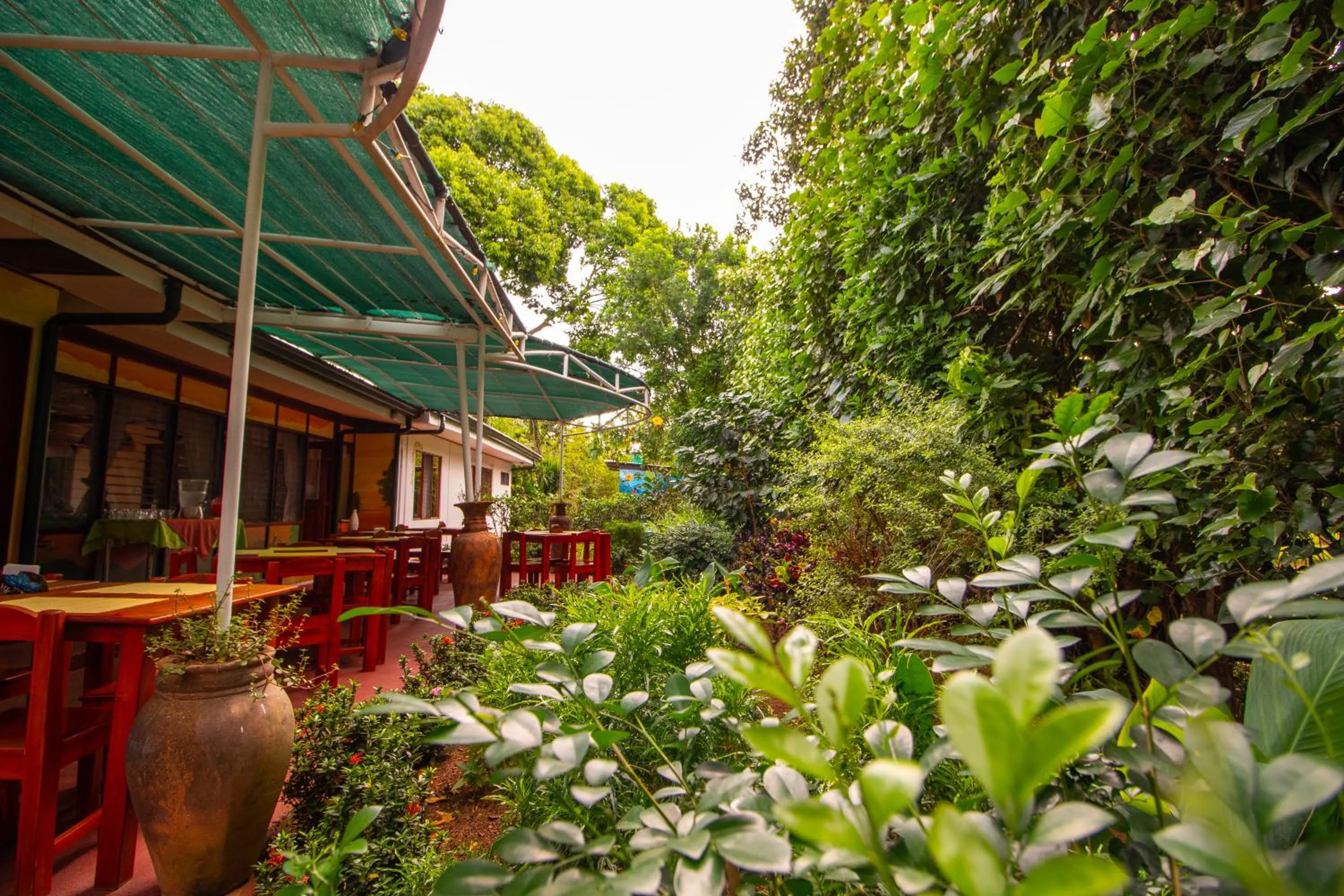 Patio in Hotel La Rosa de America