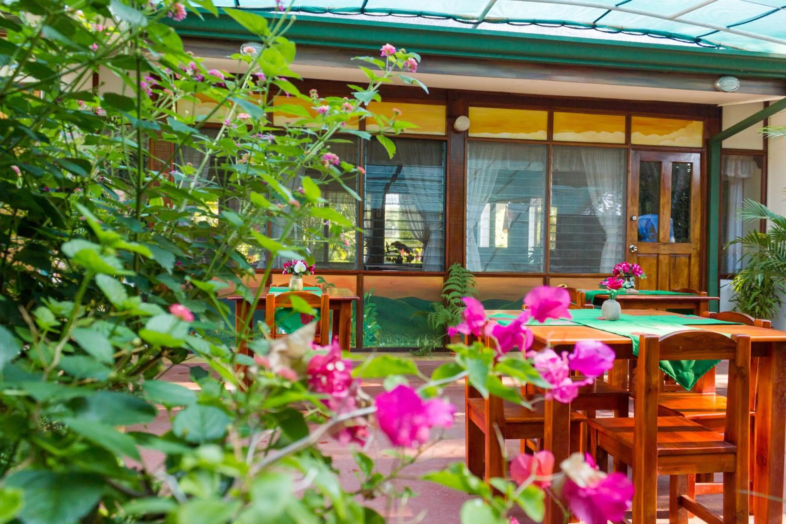 Patio in Hotel La Rosa de America