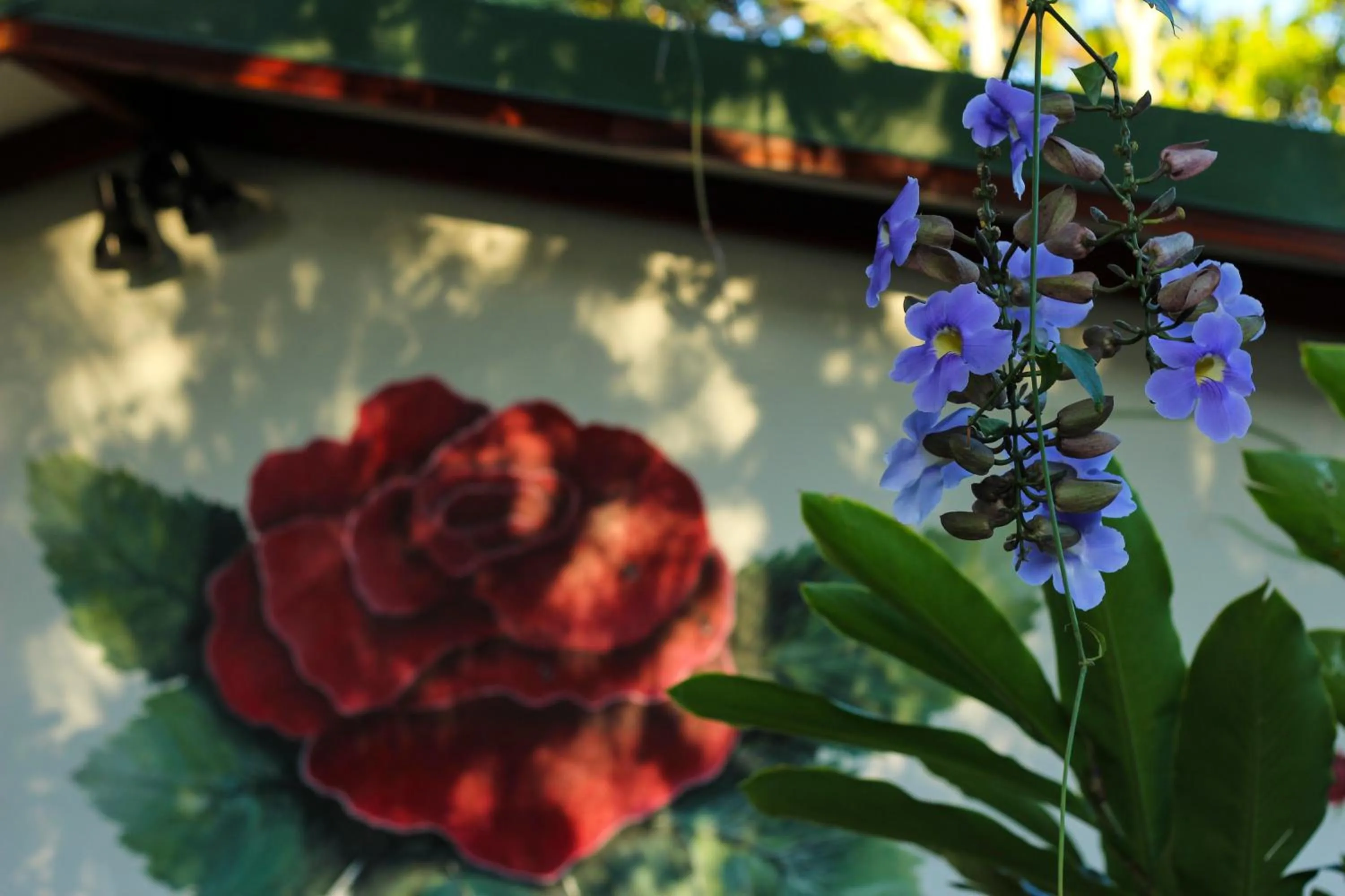 Decorative detail in Hotel La Rosa de America