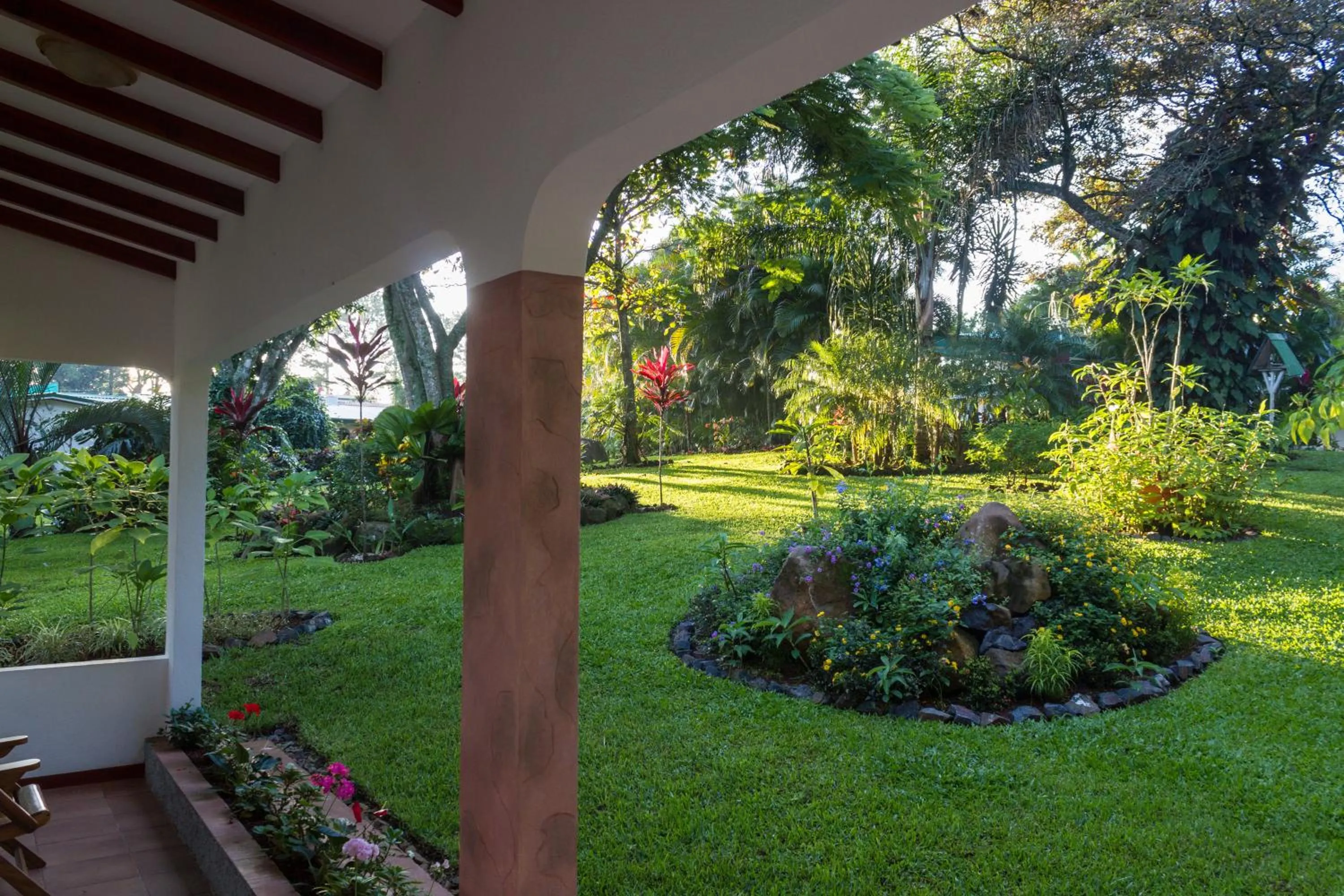 Garden view in Hotel La Rosa de America