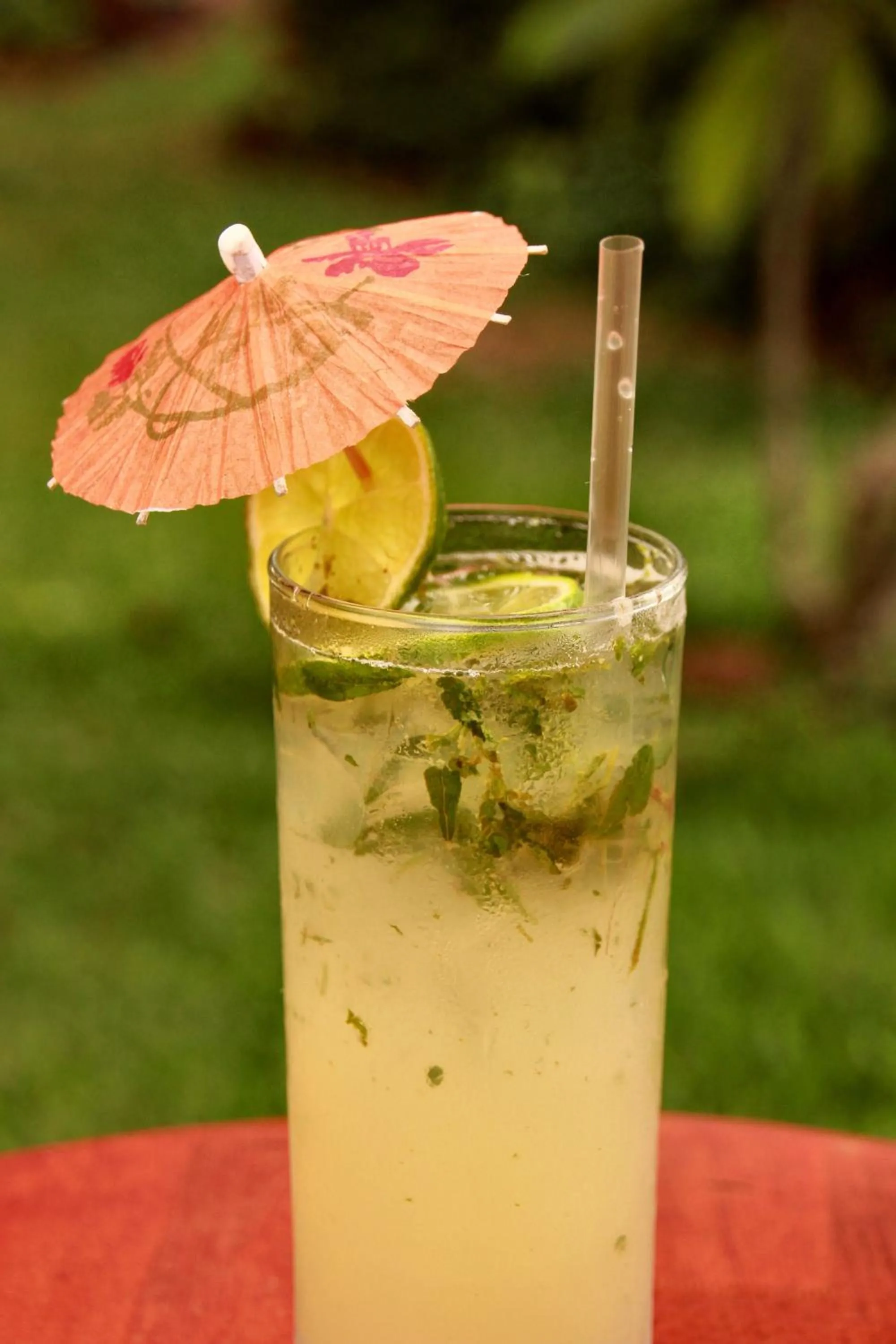 Lounge or bar in Hotel La Rosa de America