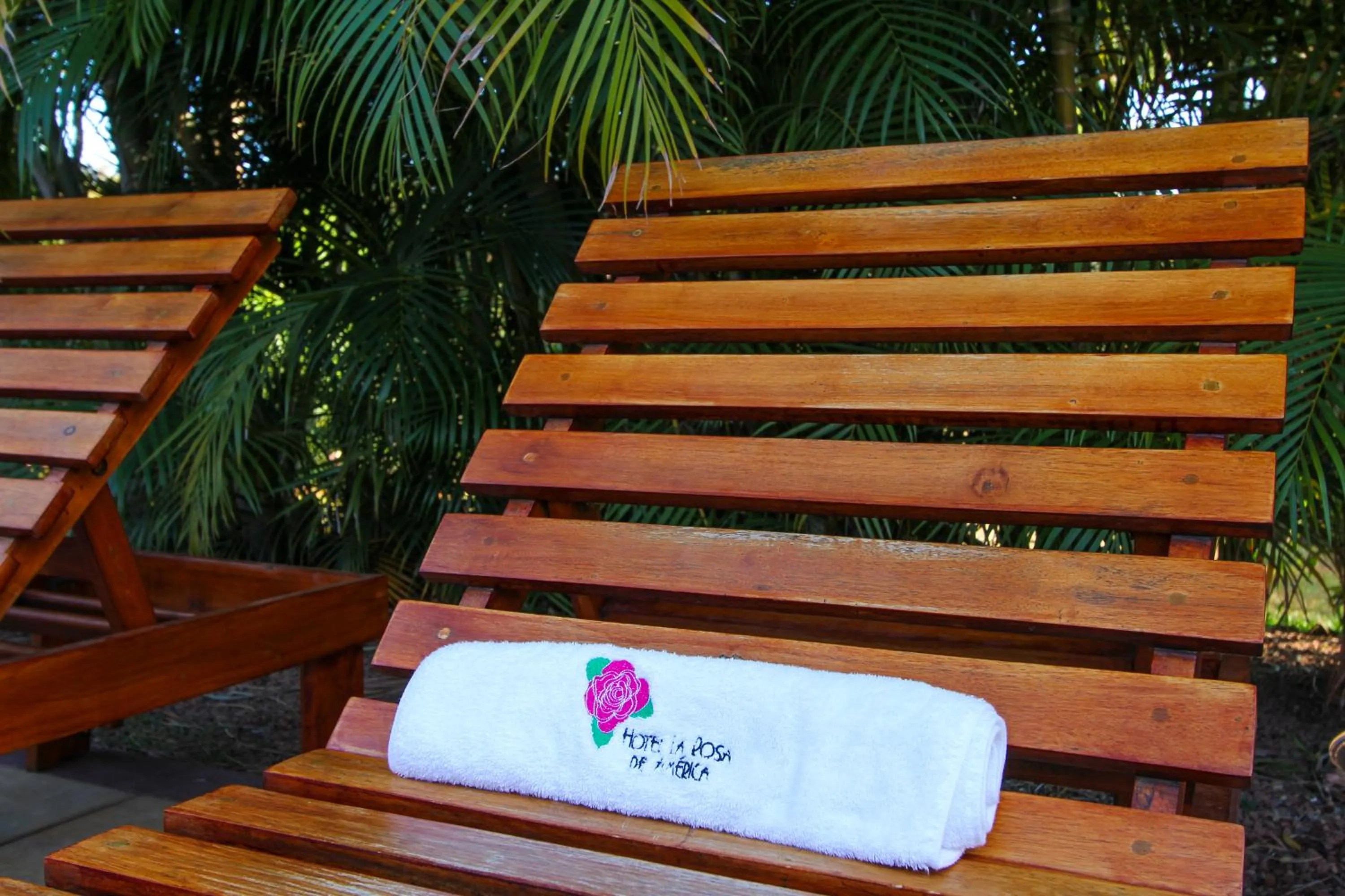 Swimming pool in Hotel La Rosa de America