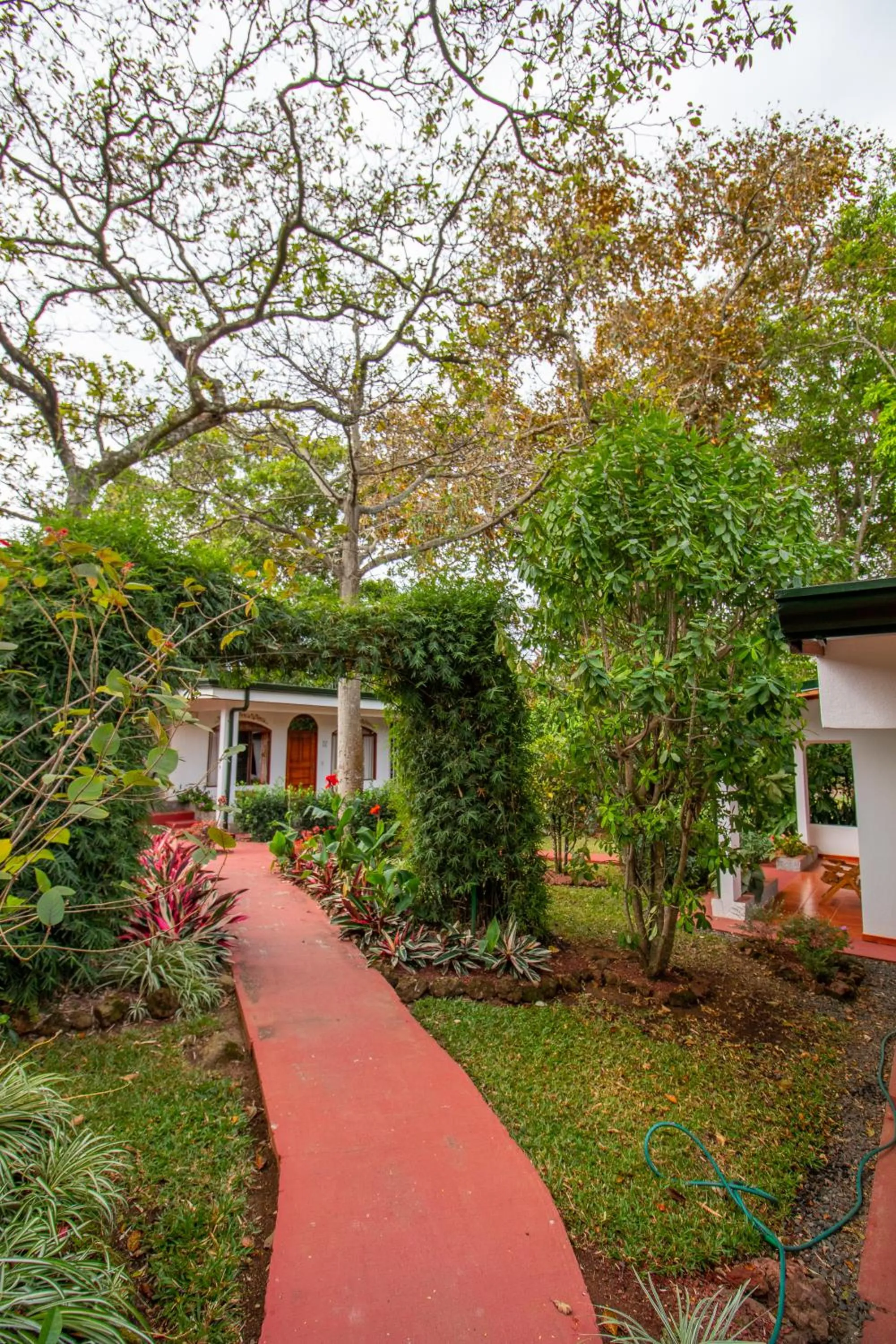 Property building in Hotel La Rosa de America