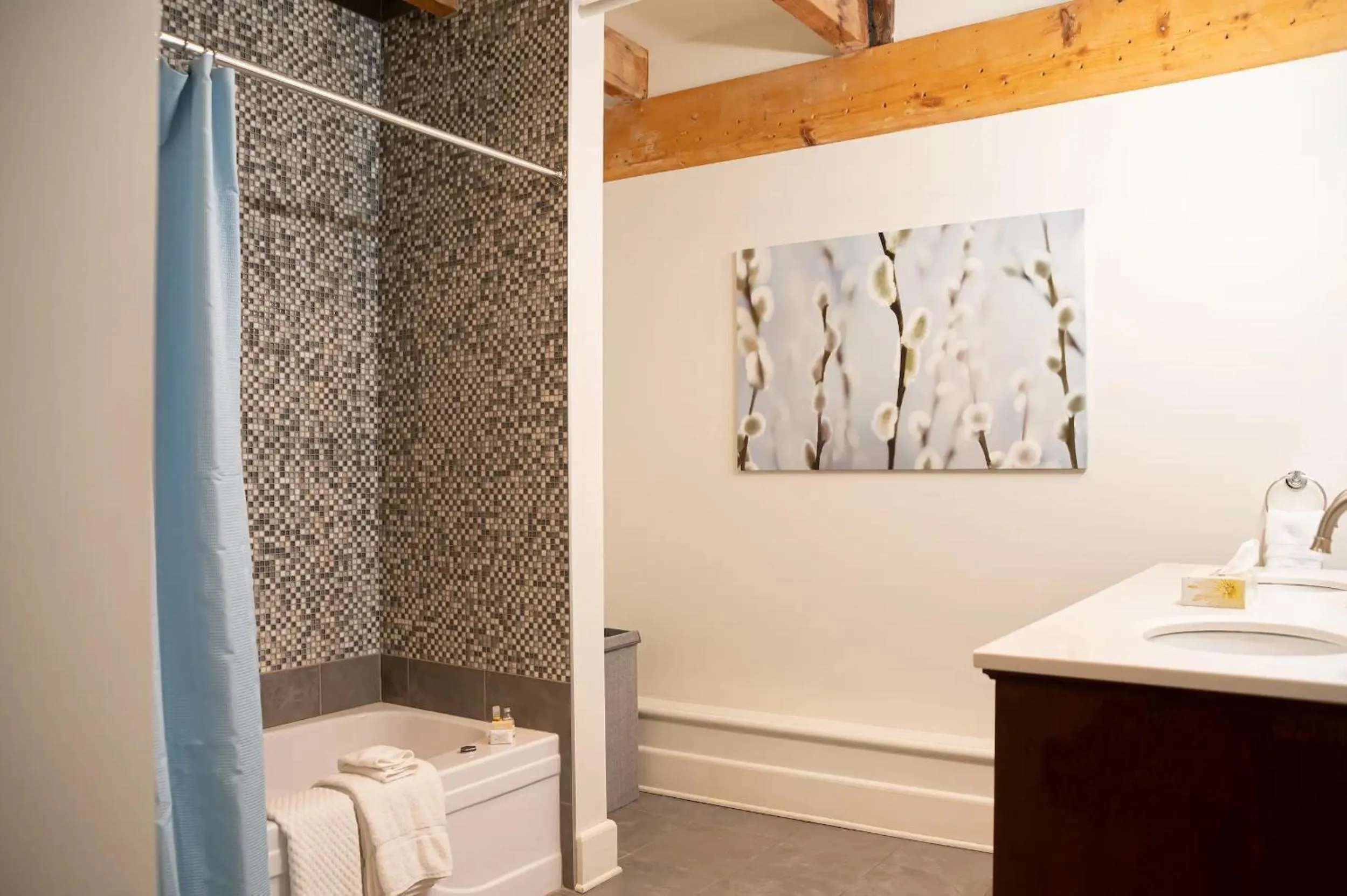 Toilet in Royal Dalhousie