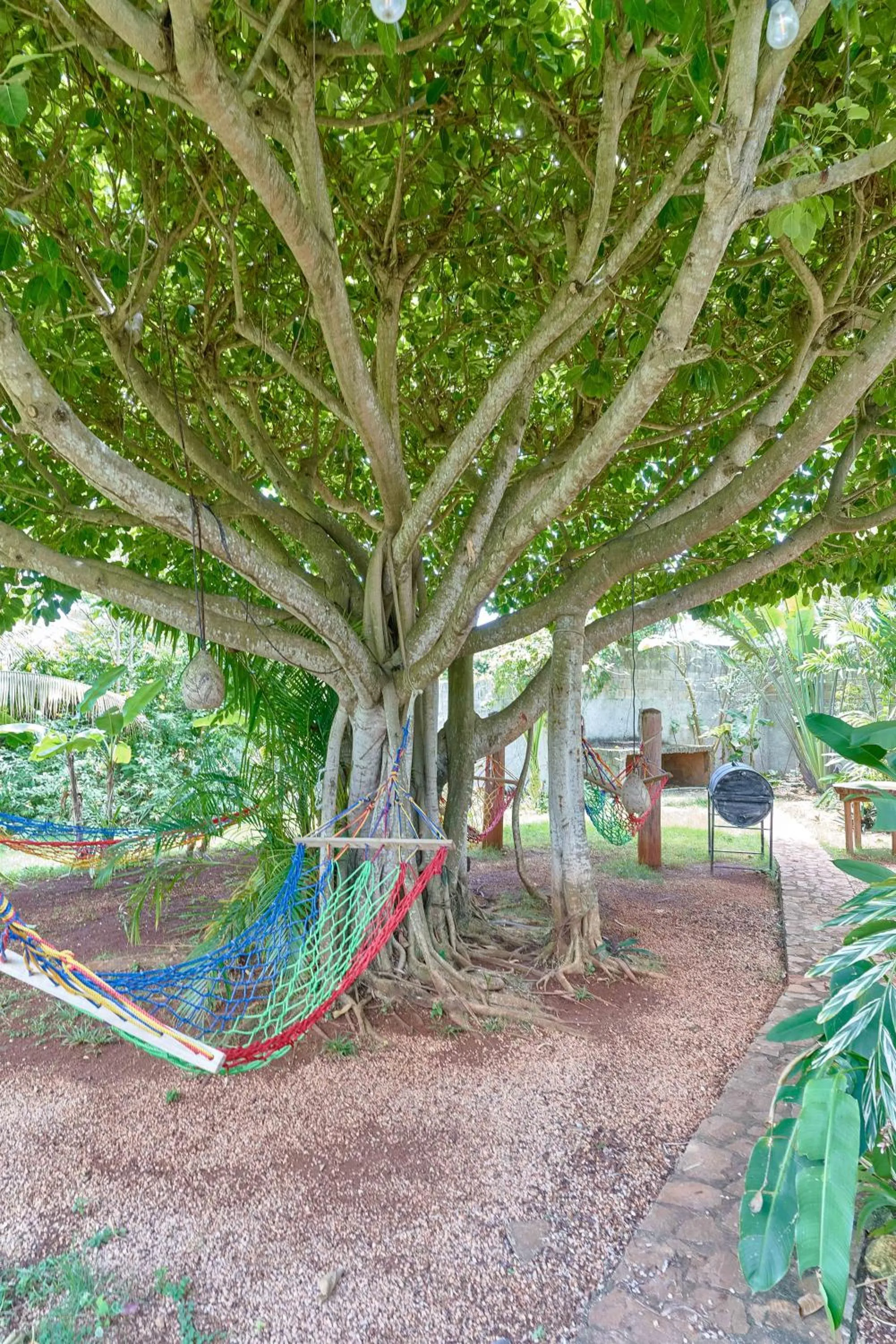 CHALET TROPICAL Hotel & Restaurant-Pizzeria