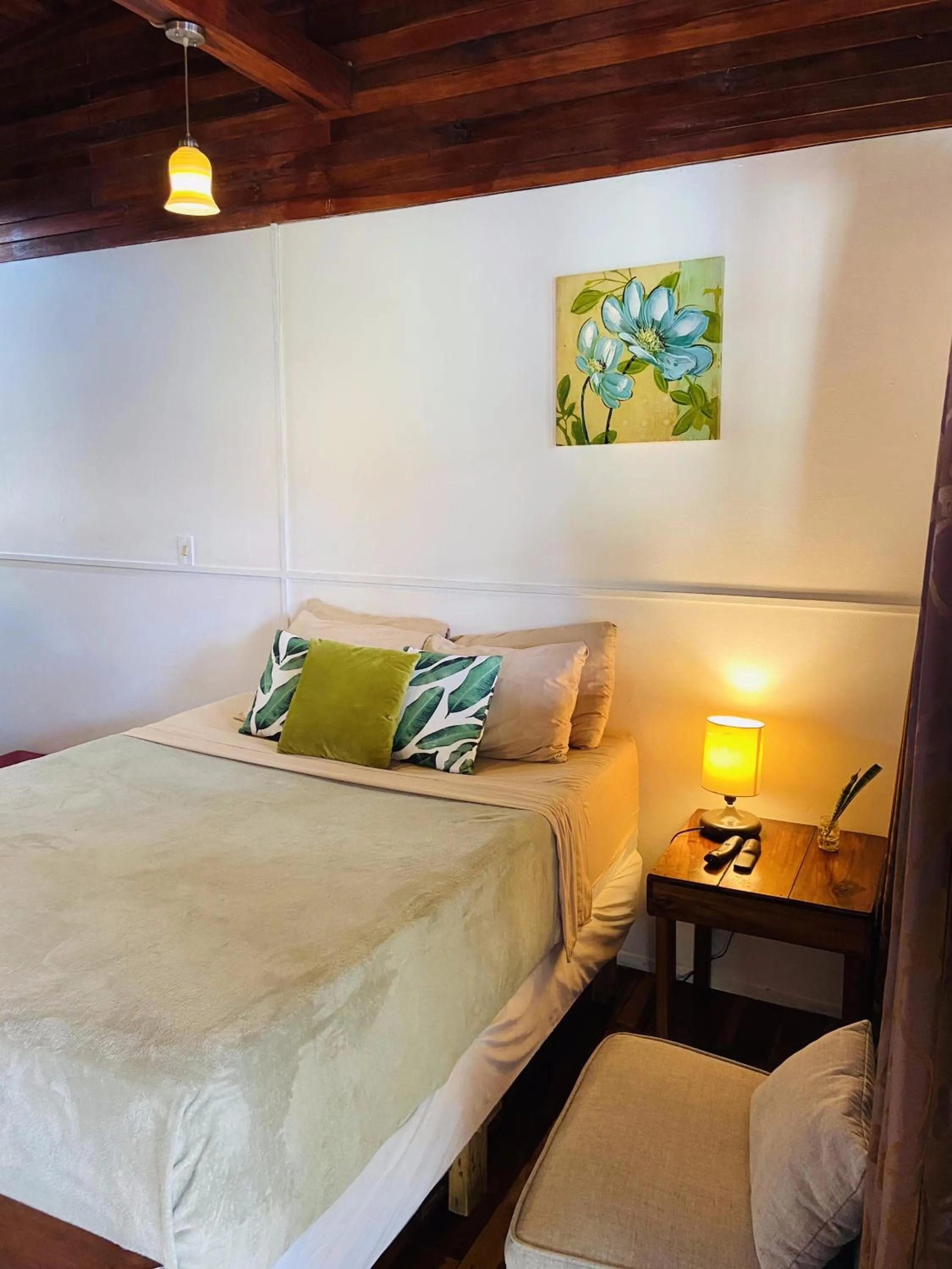 Deluxe Queen Room with A/C in Lizard King Hotel & Suites