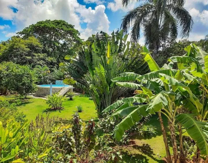 Garden view in Labellaventura