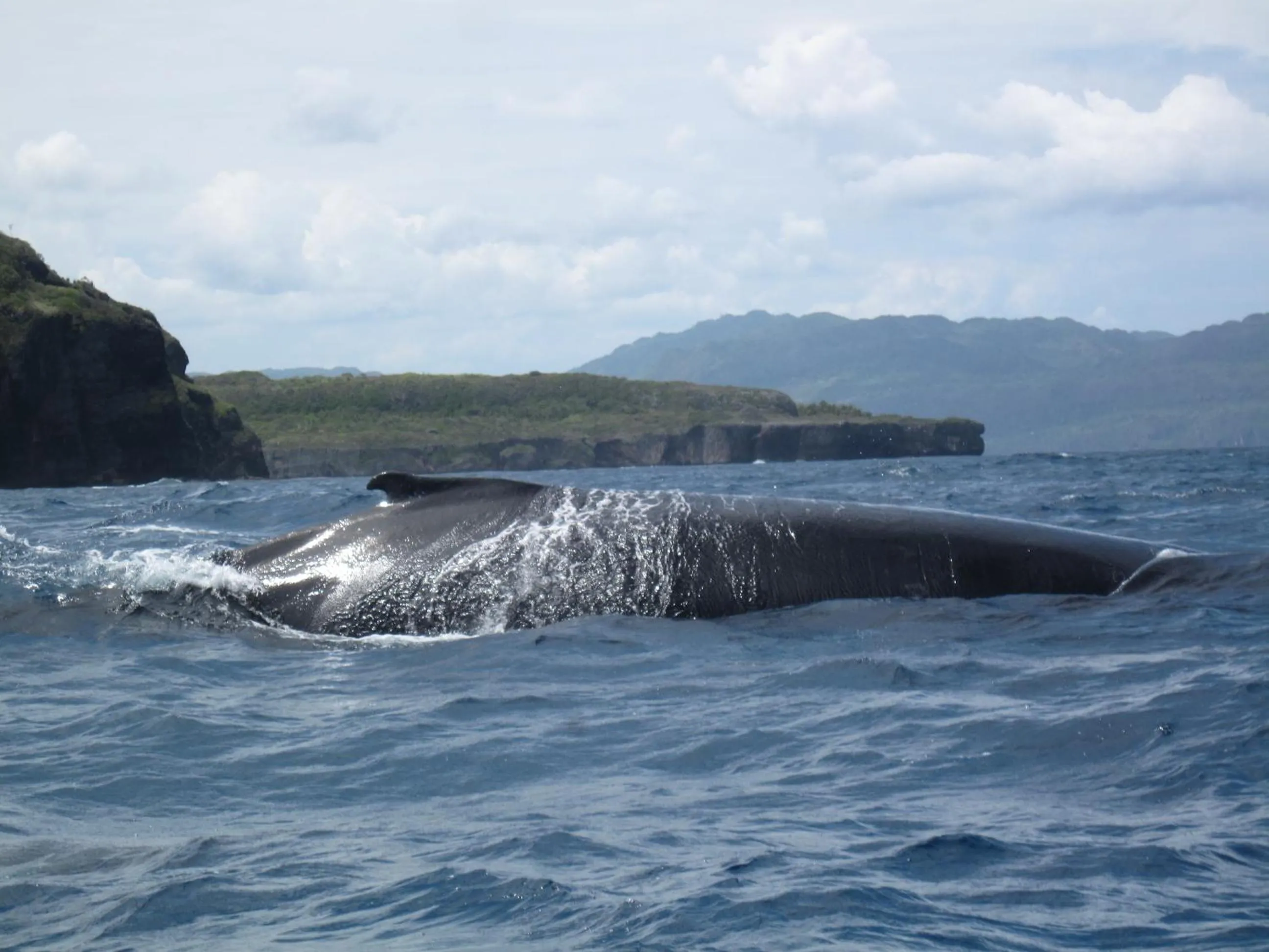 Natural landscape in Labellaventura