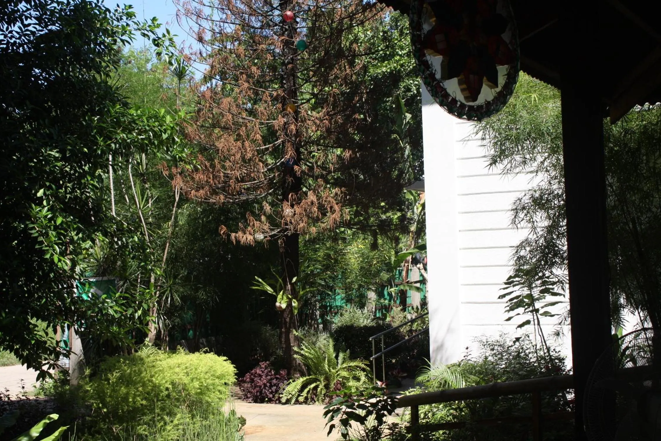 Day in Greenspace Palawan