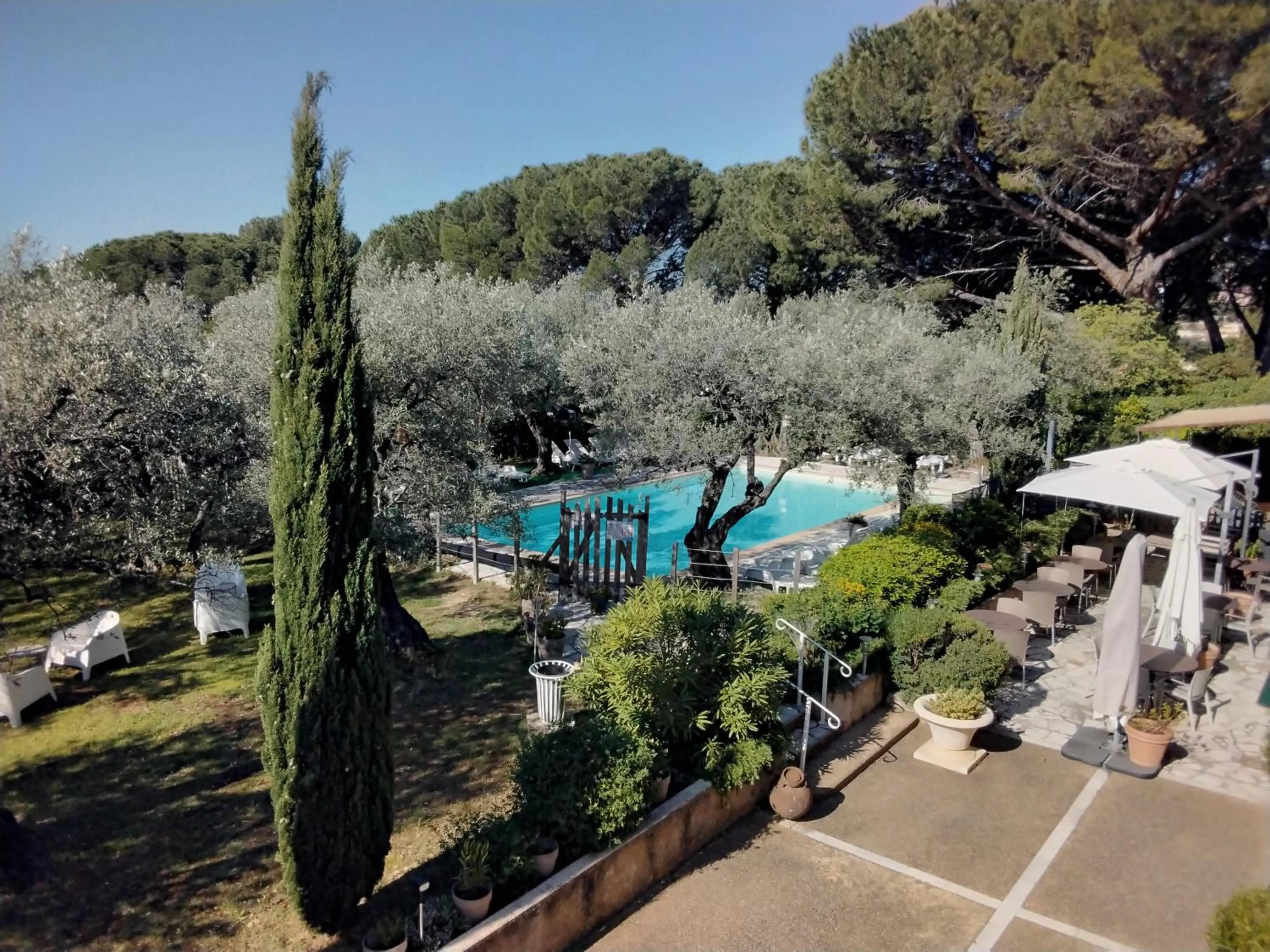 La Picholine en Provence