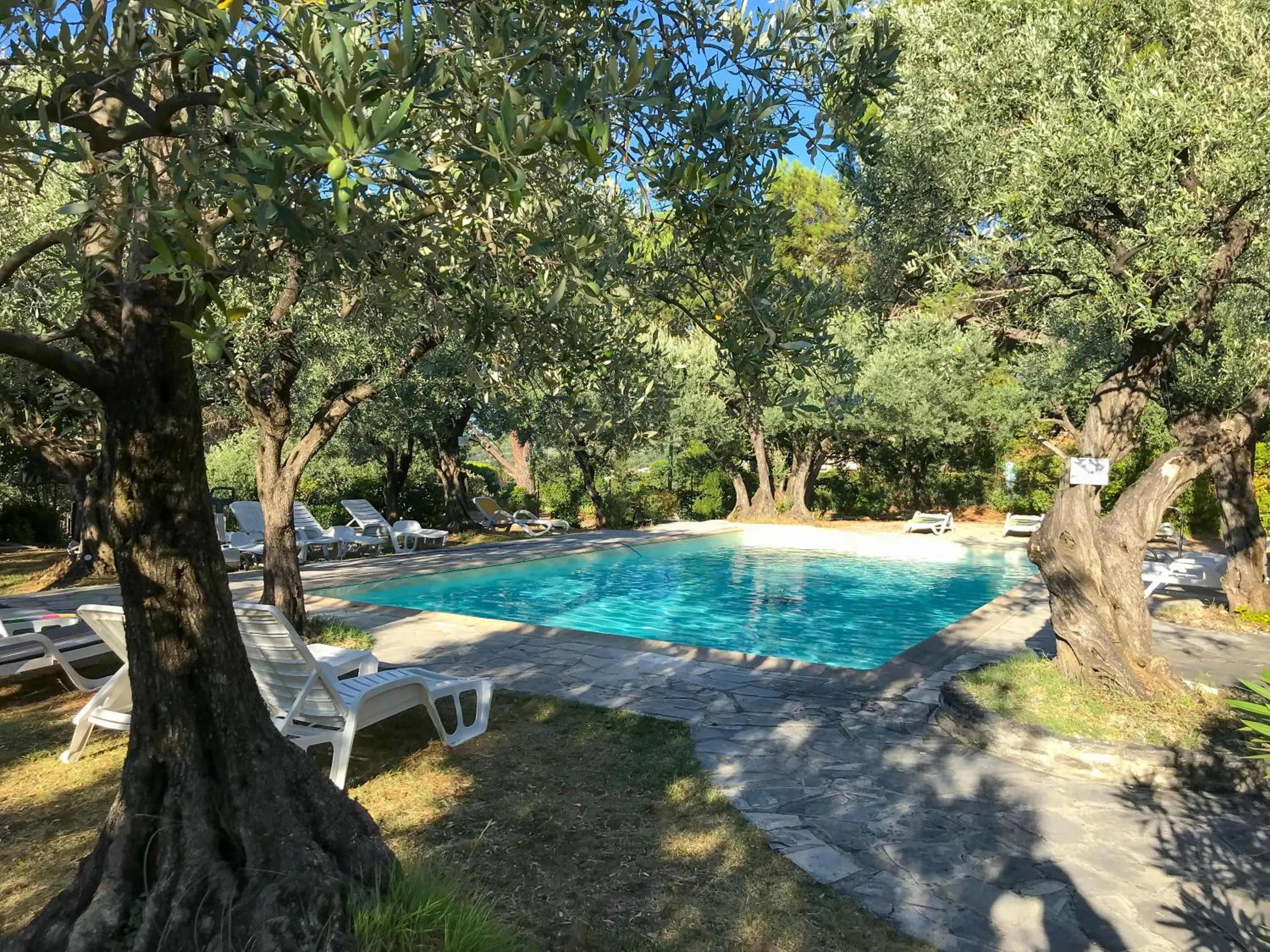 Swimming pool in La Picholine en Provence