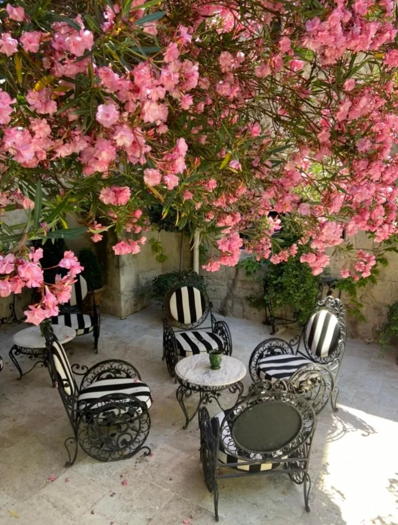 Patio in Hôtel Gounod