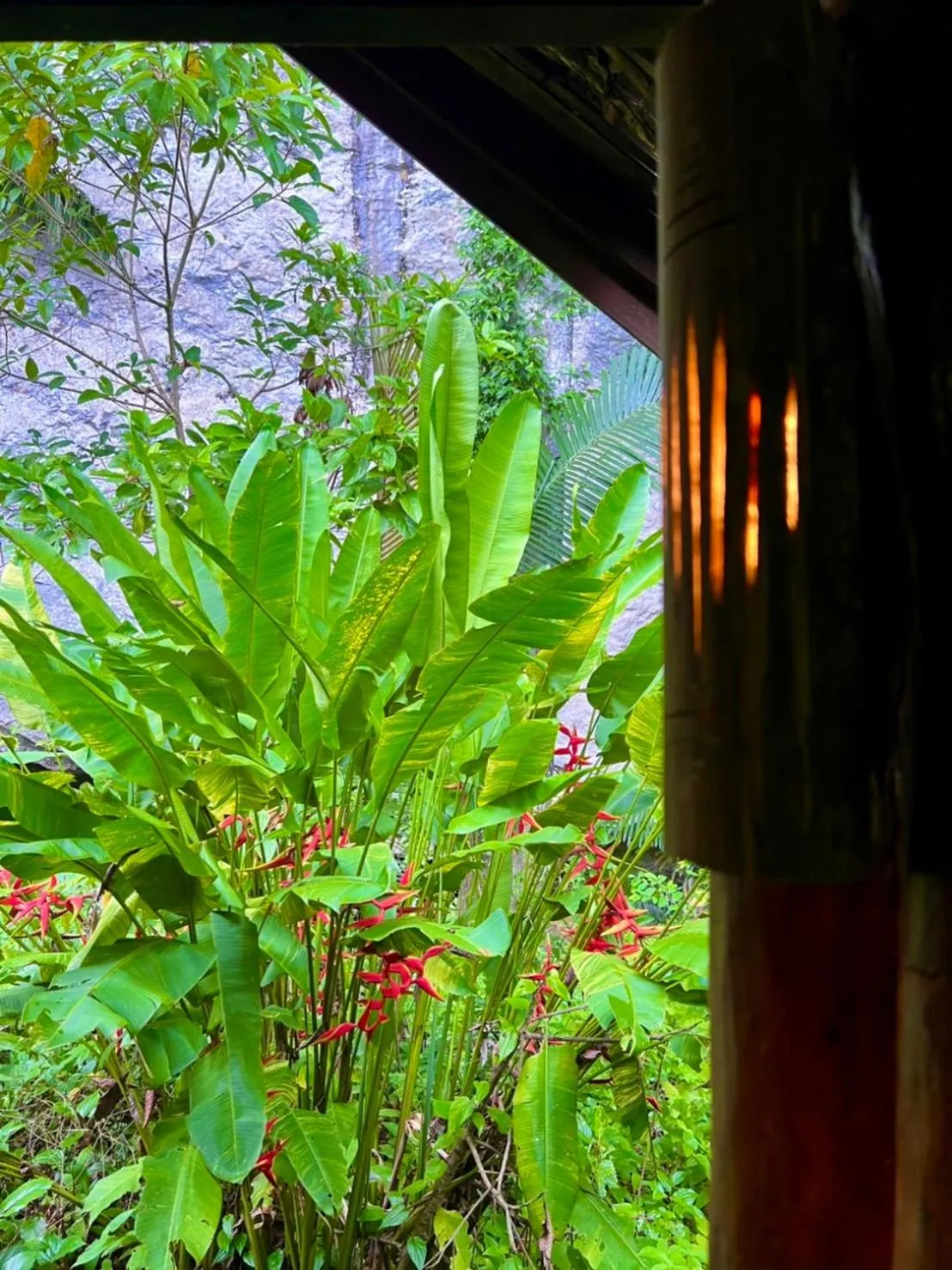 Natural landscape in Khao Sok Silver Cliff Resort
