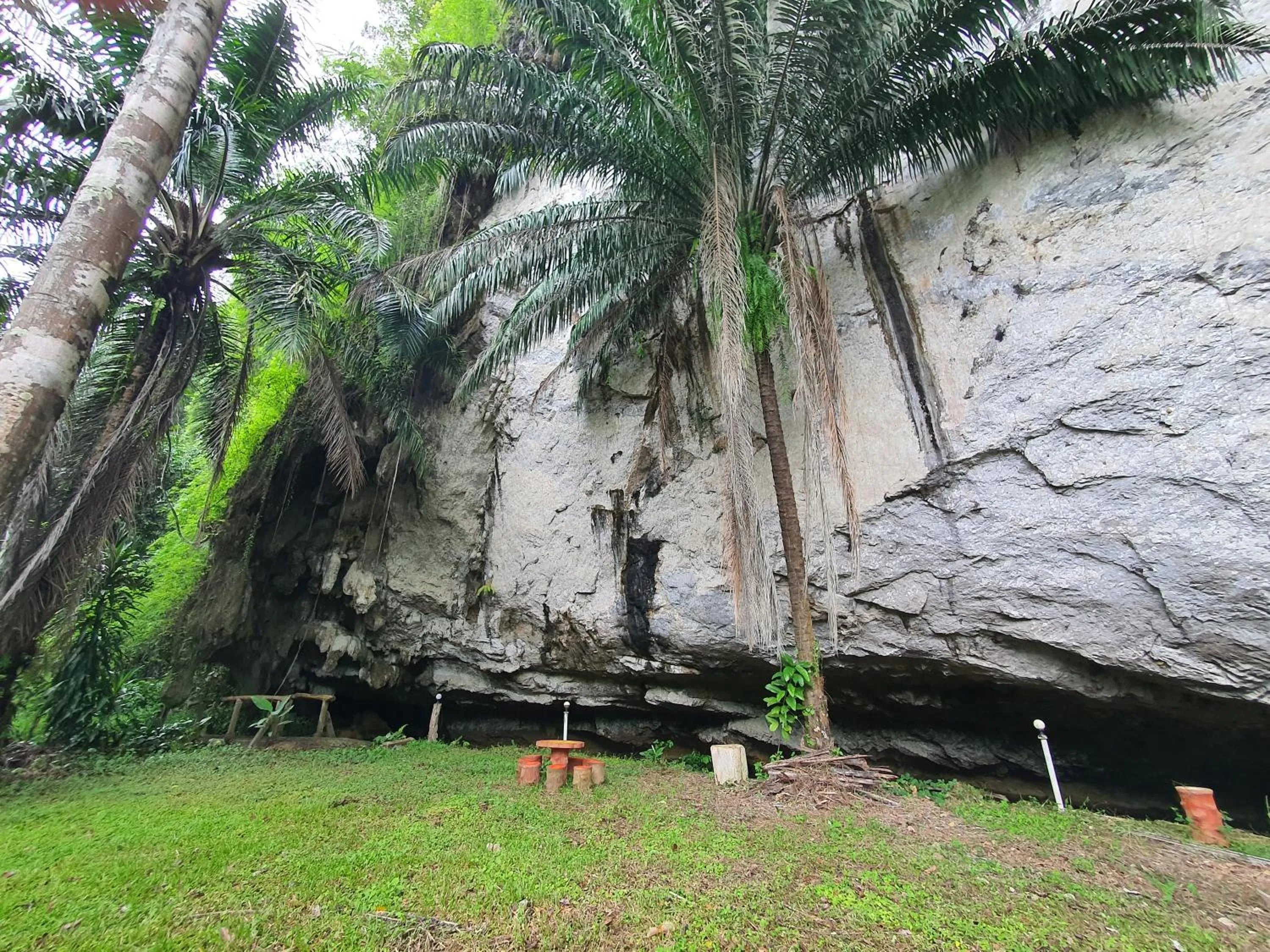 Day in Khao Sok Silver Cliff Resort