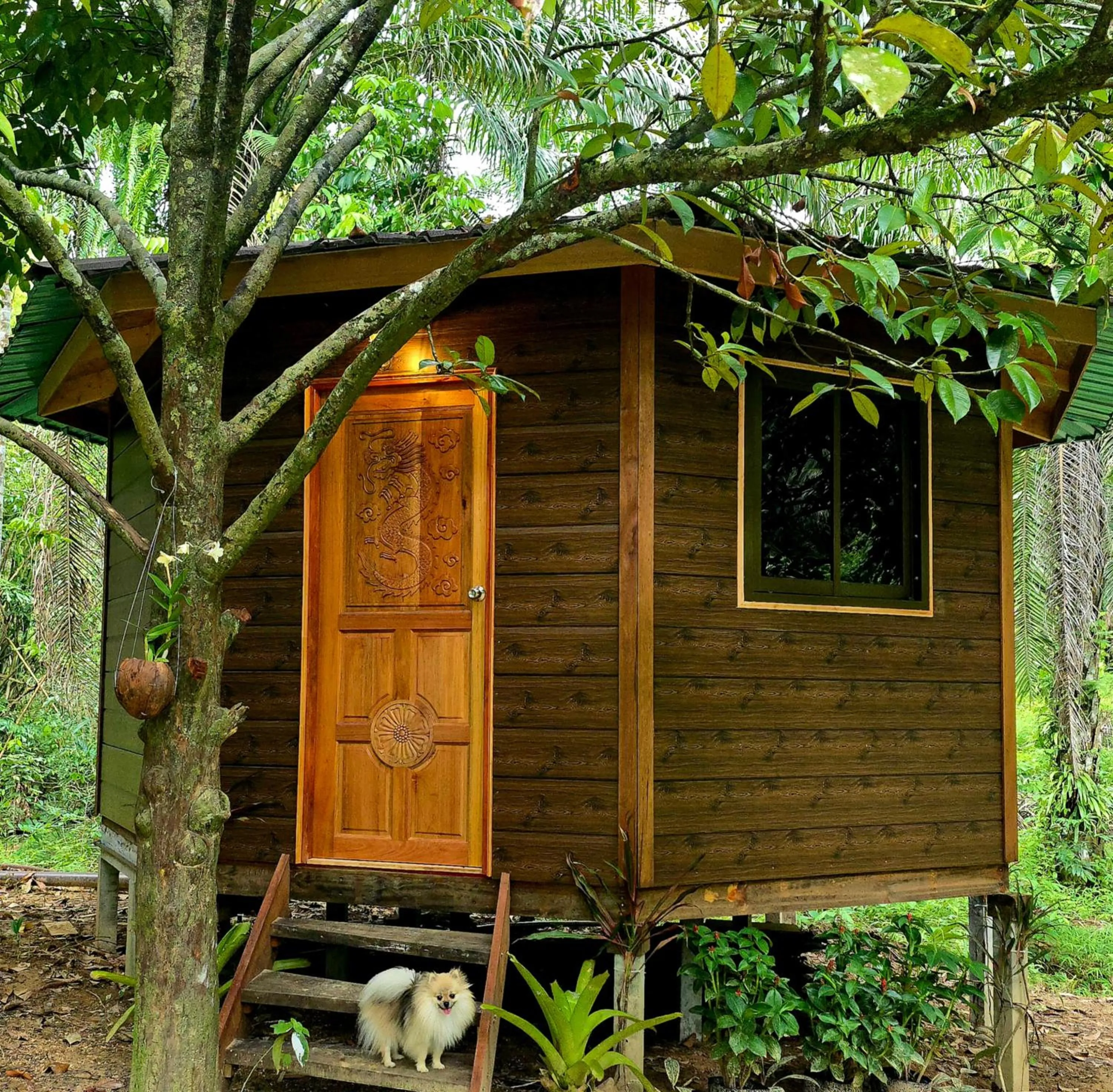 Khao Sok Silver Cliff Resort