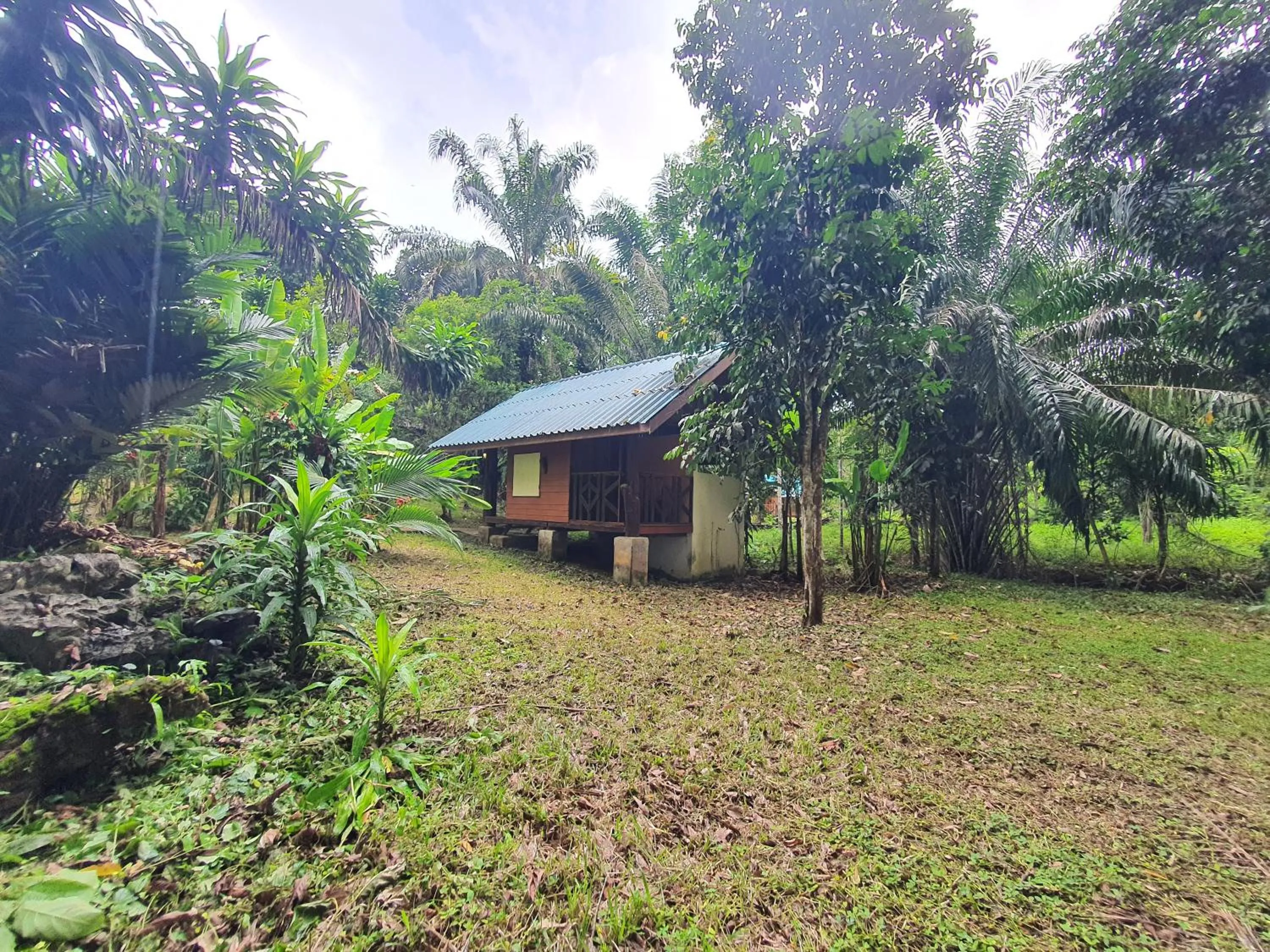Garden view in Khao Sok Silver Cliff Resort